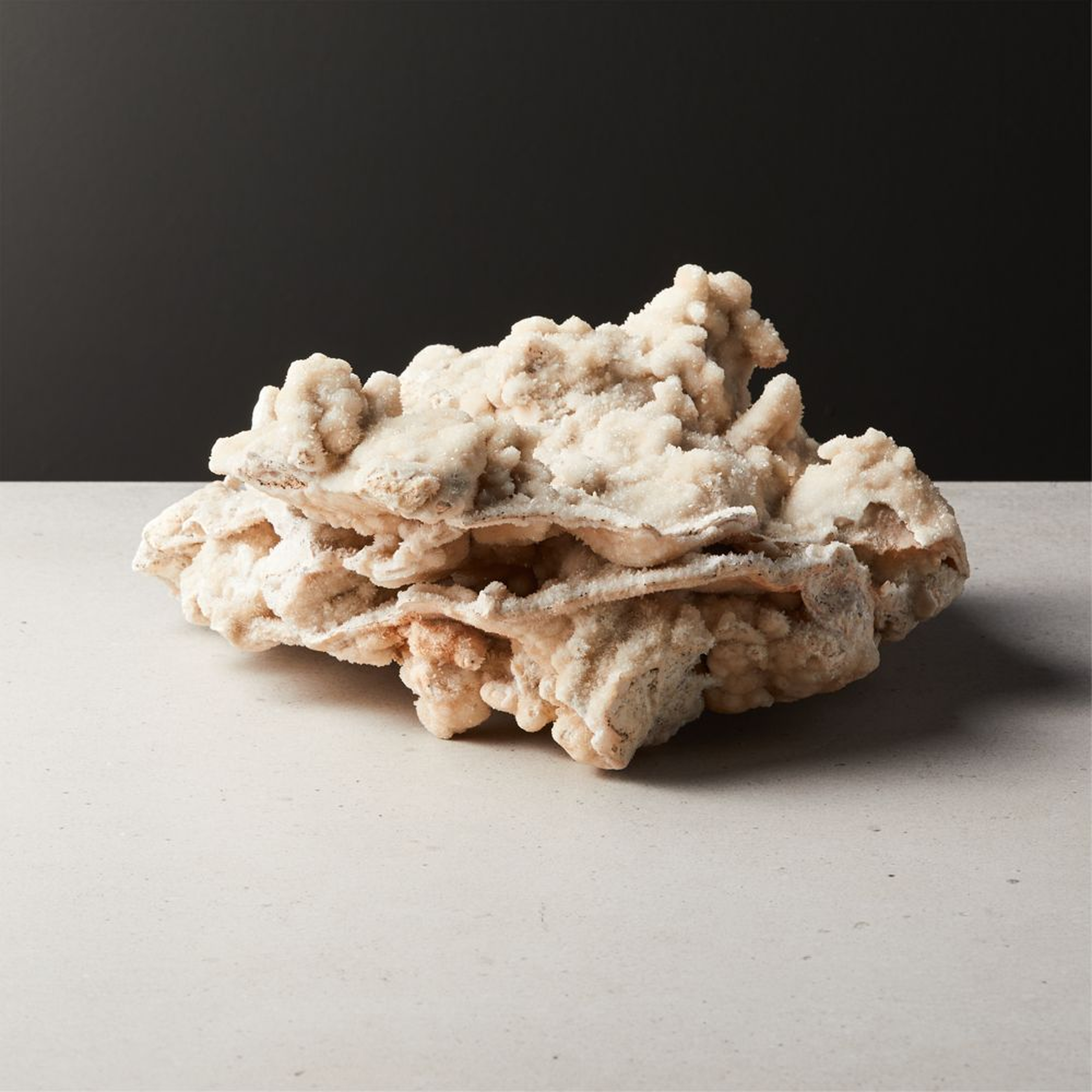 Mountain Coral Object Ivory - CB2