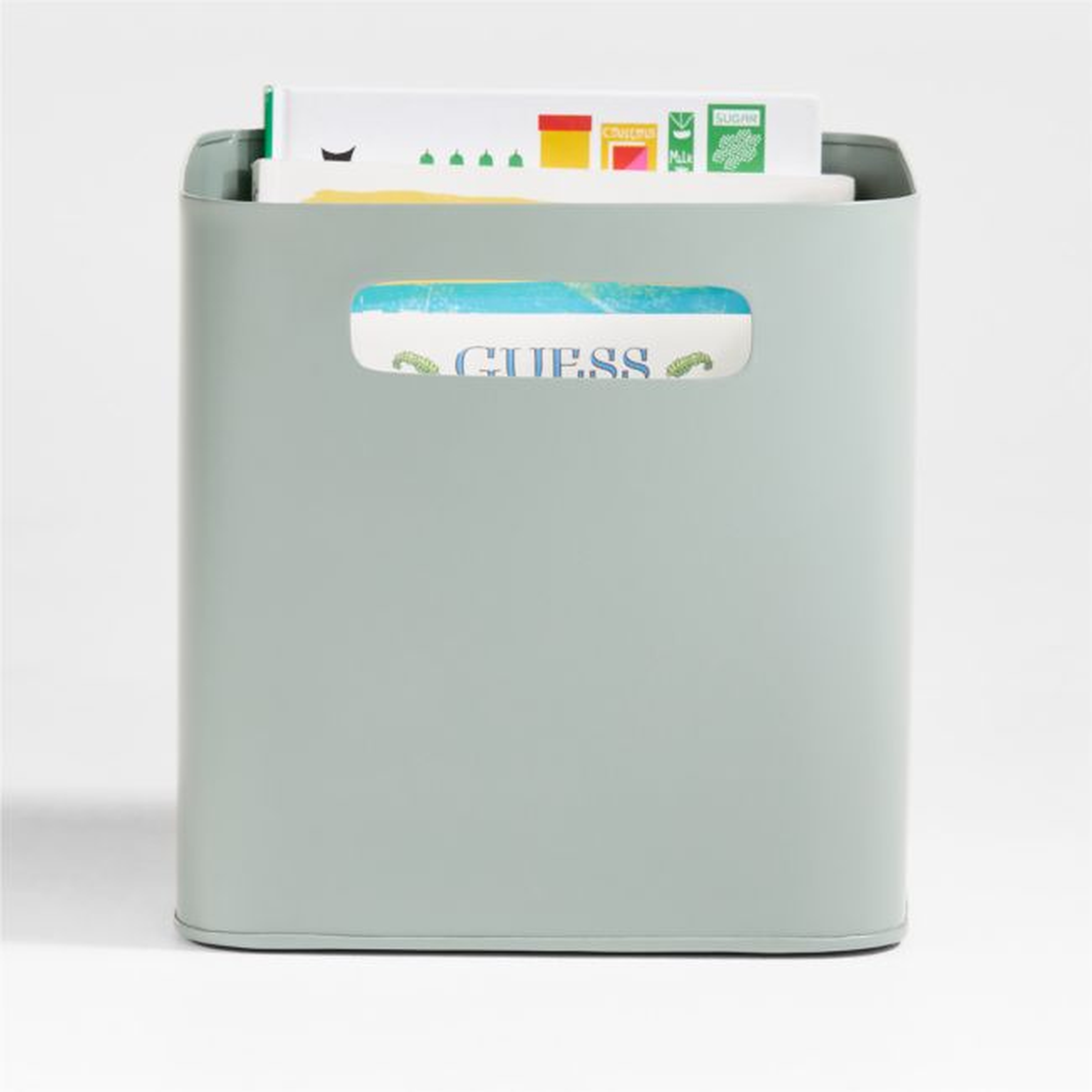 Outline Sage Green Metal Storage Bin with Handles - Crate and Barrel