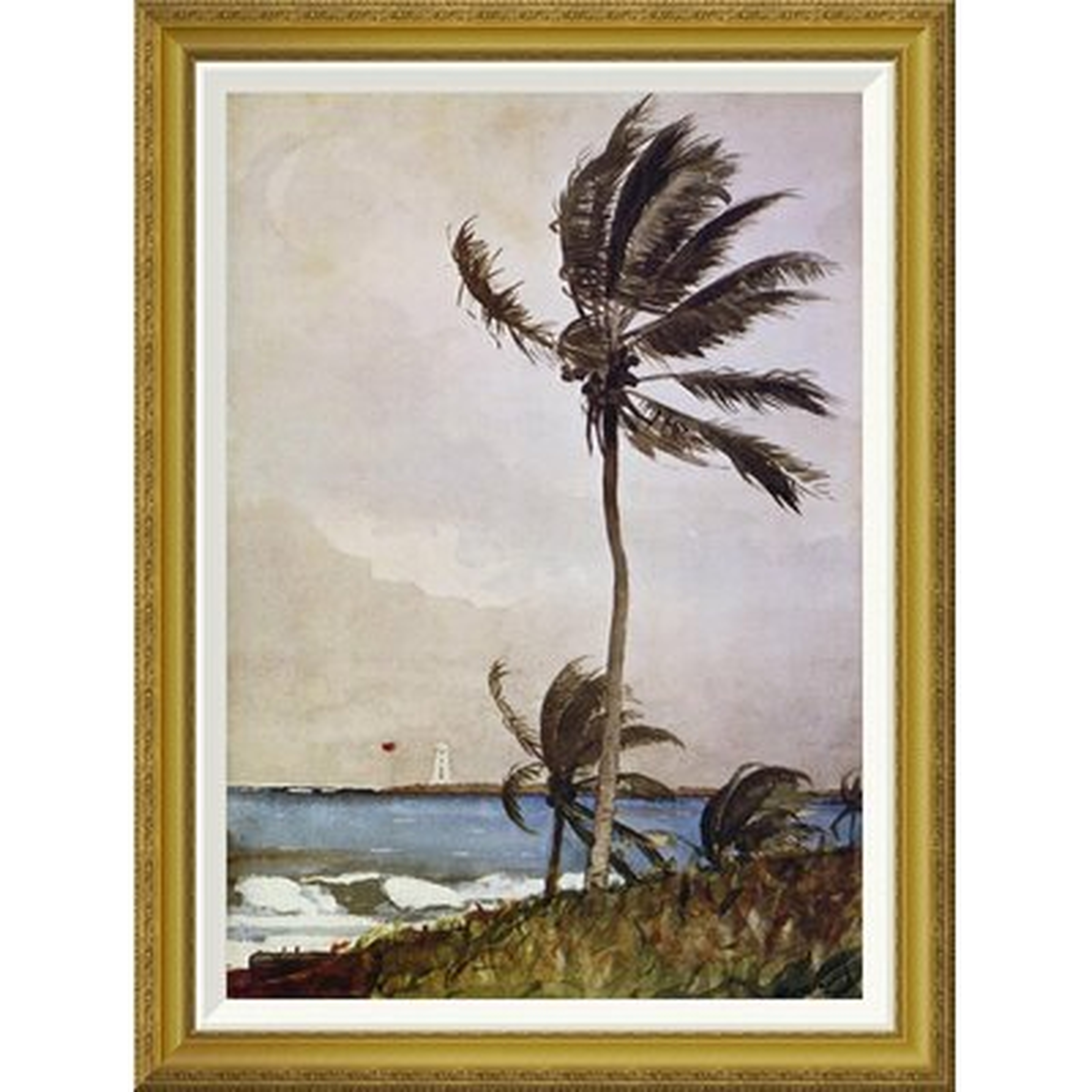 'Palm Tree Nassau' by Winslow Homer Framed Painting Print - Wayfair