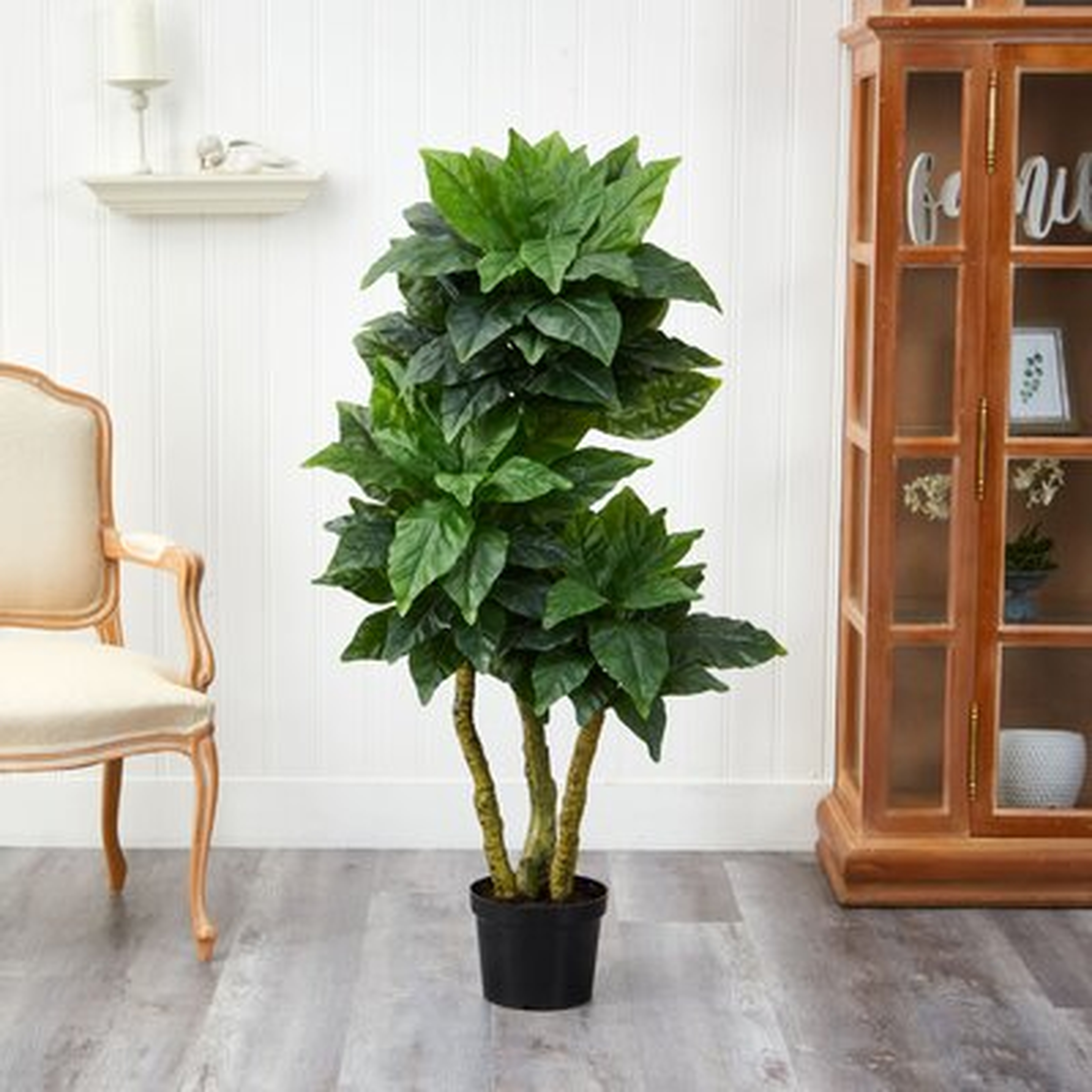 Bird Nest Tree Floor Plant in Pot - Wayfair