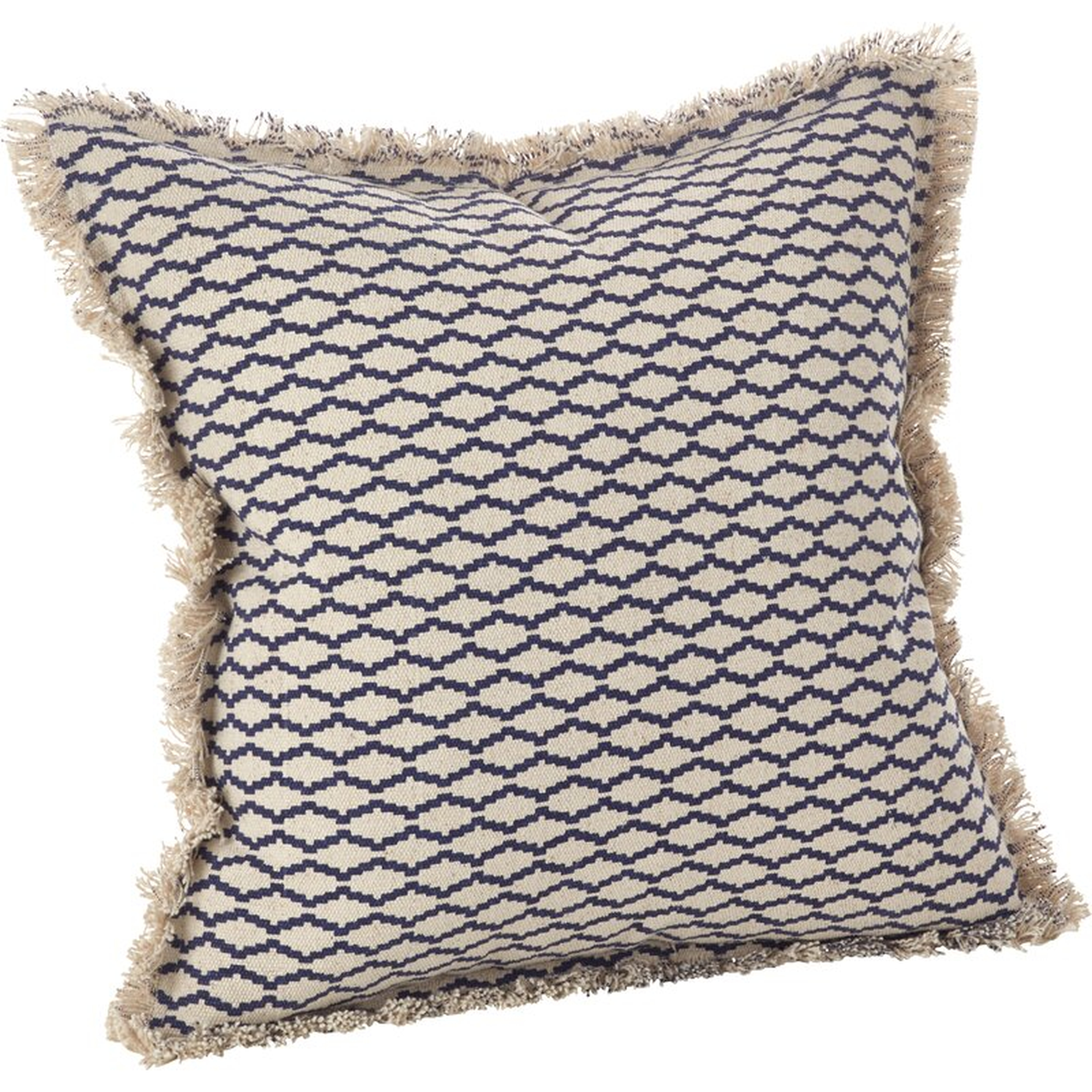 Roseanna Cotton Throw Pillow, 20'' x 20'' - Birch Lane