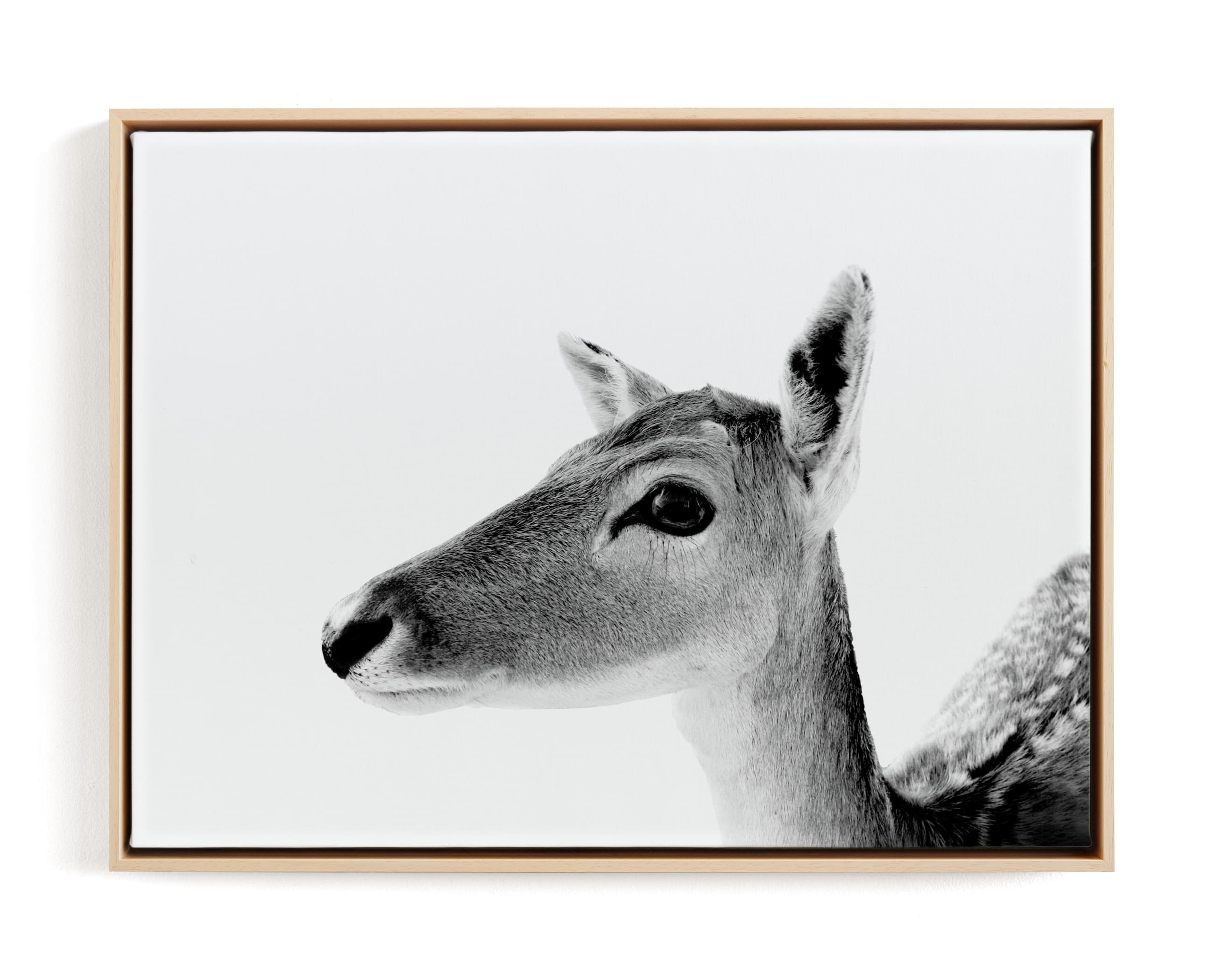 Darling Deer Art Print - Minted