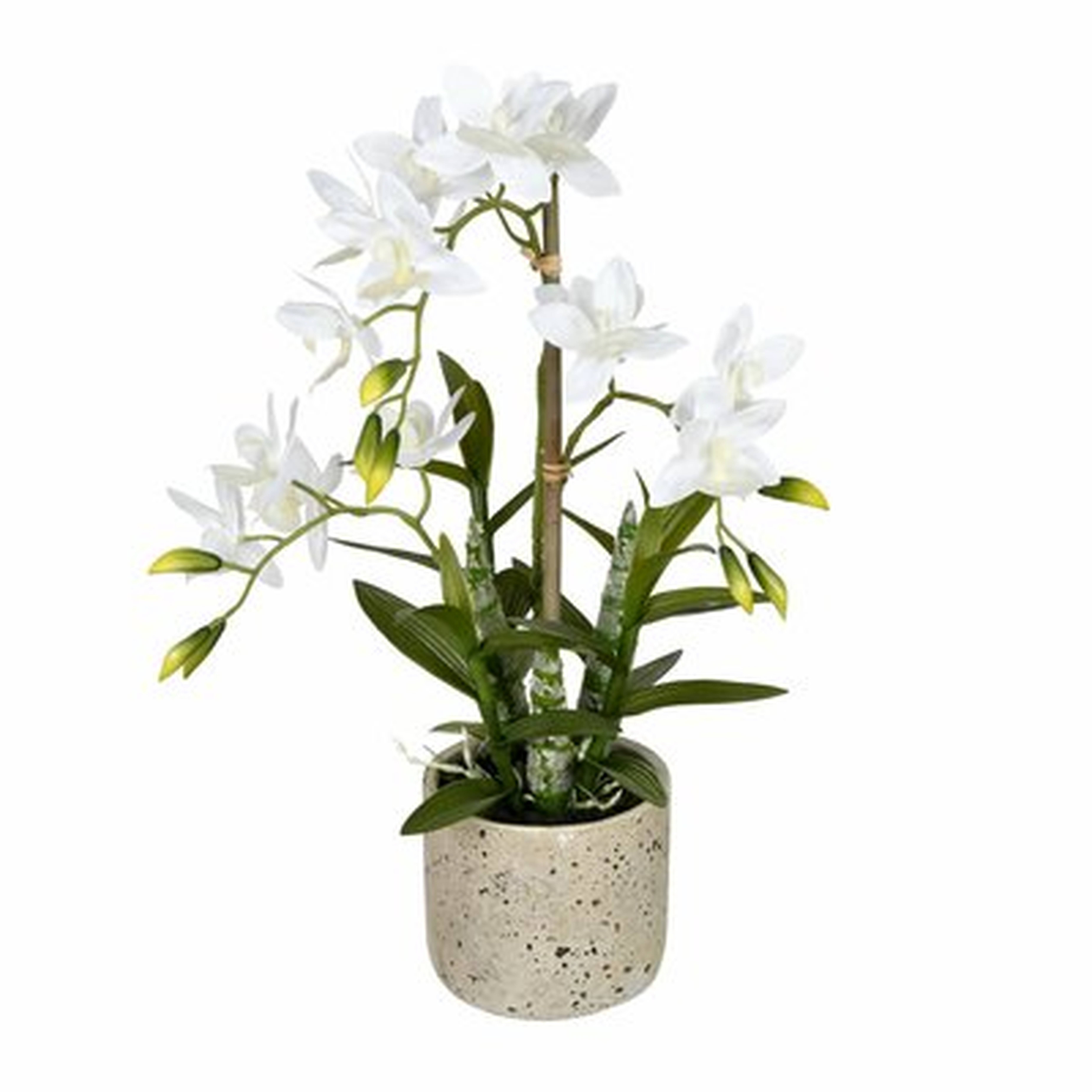Artificial Cycnoches Plant in Pot - Wayfair