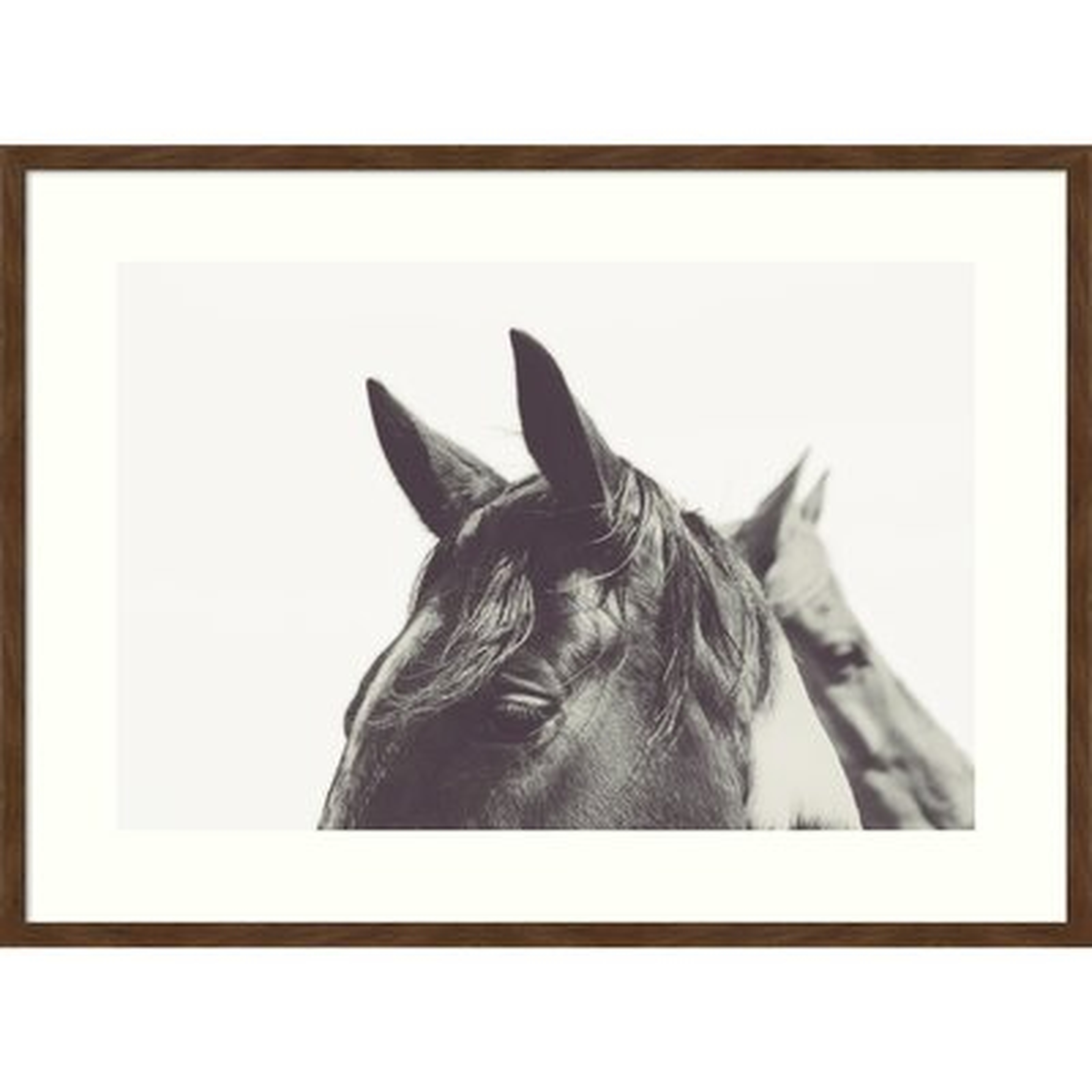 Partner by Emi And Mark Franzen - Picture Frame Photograph Print on Paper - Wayfair