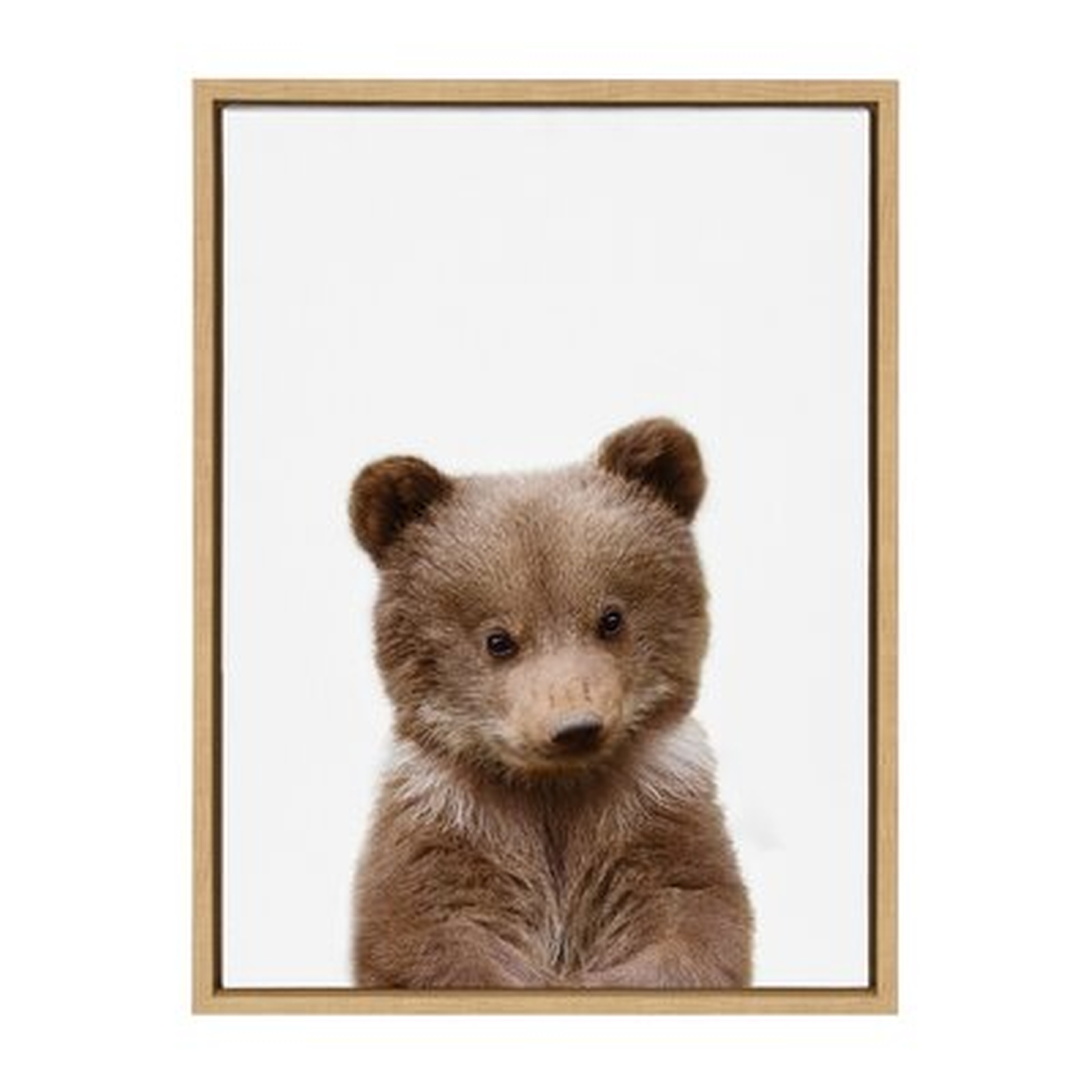 'Animal Studio Bear' - Wrapped Canvas Print - Wayfair