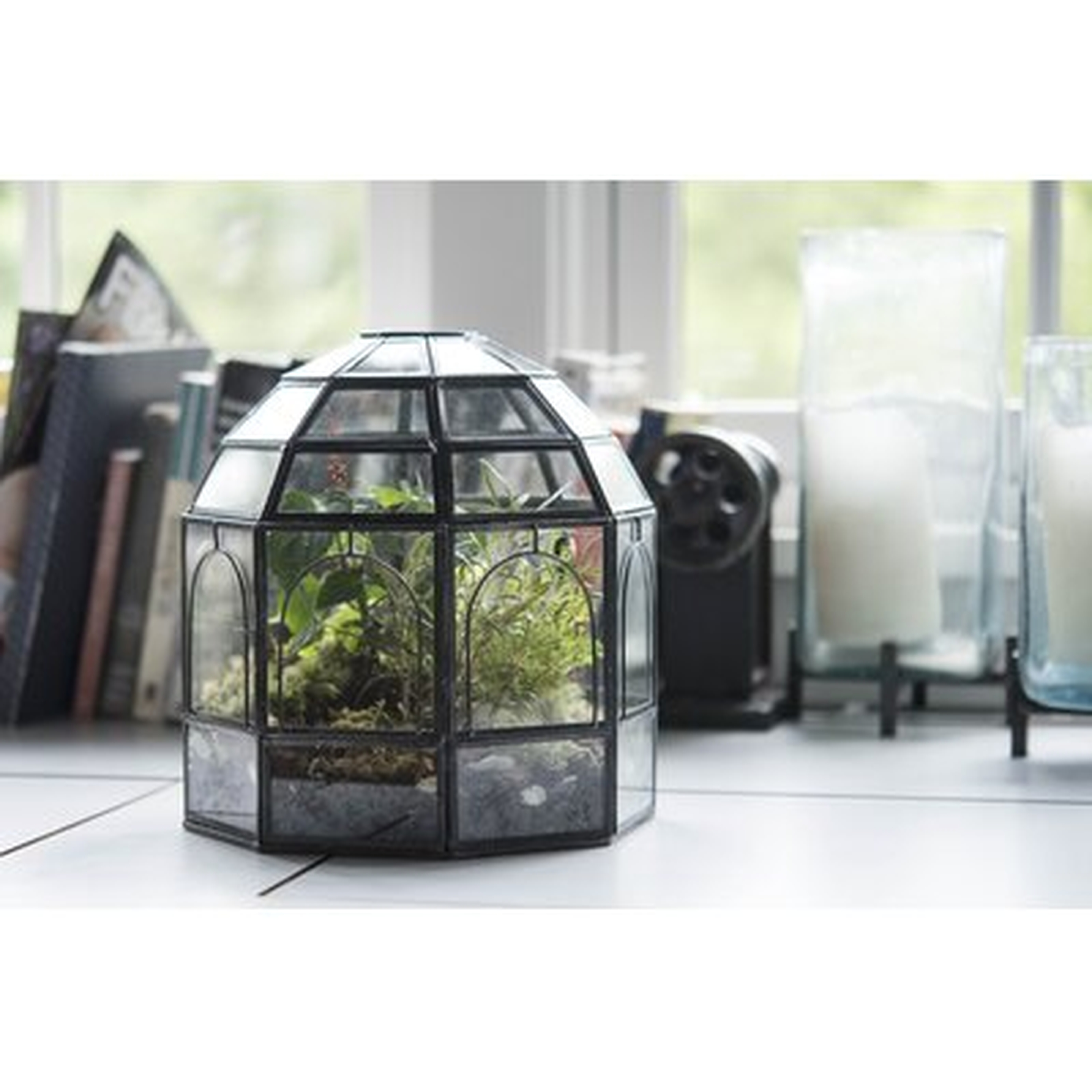 Malaga Terrarium - Wayfair