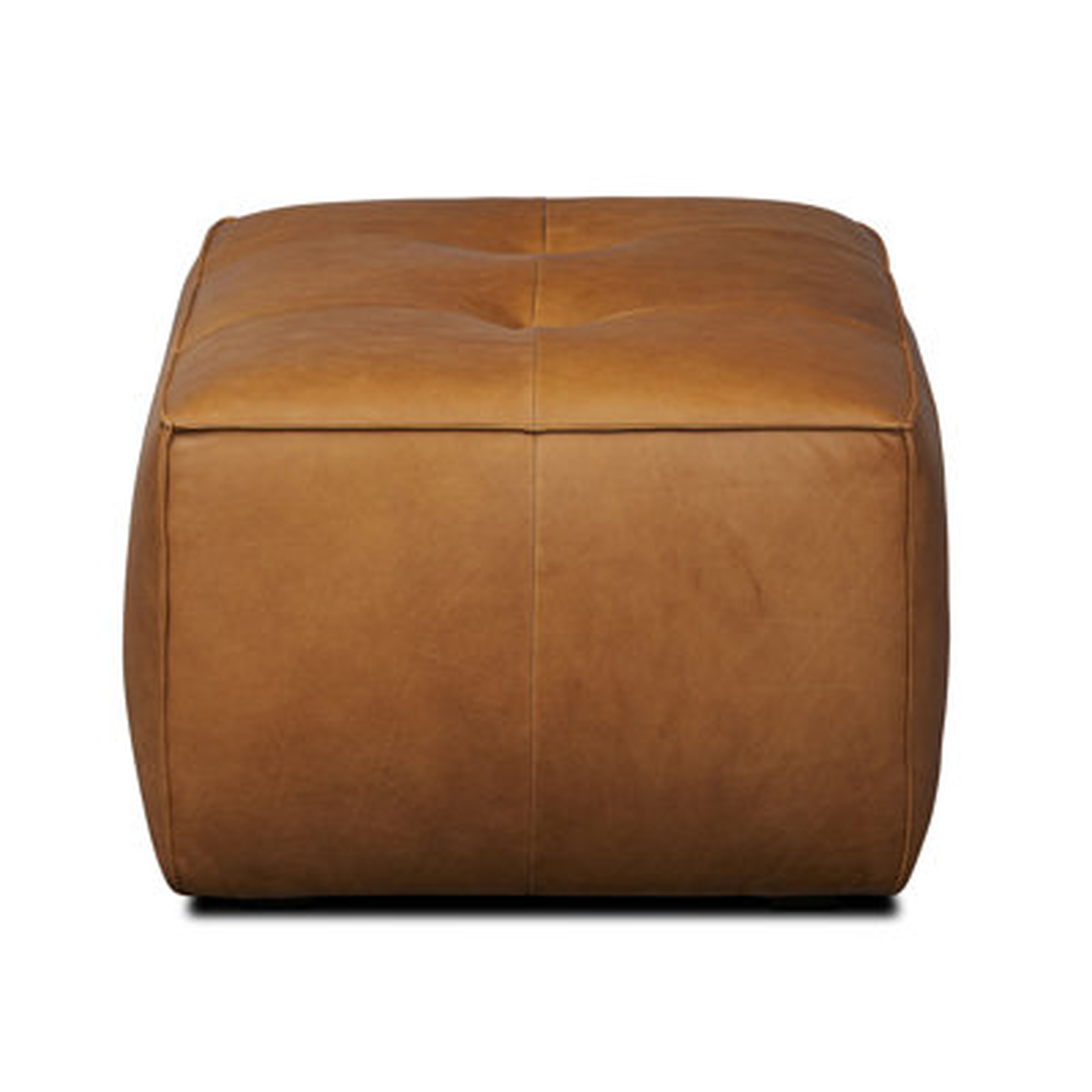 Belarus Leather Ottoman - Birch Lane