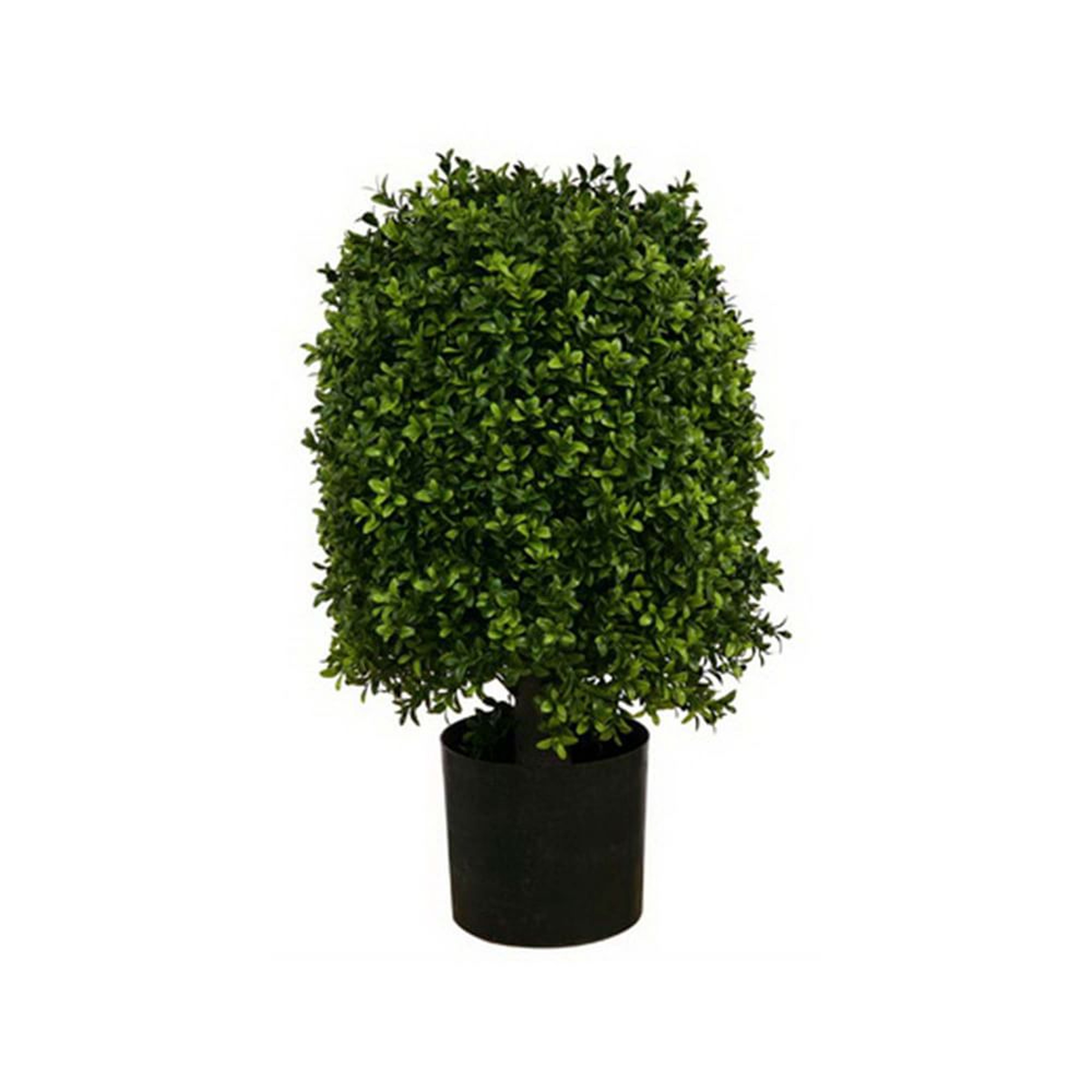 Faux Boxwood Ball Topiary, 24" - West Elm