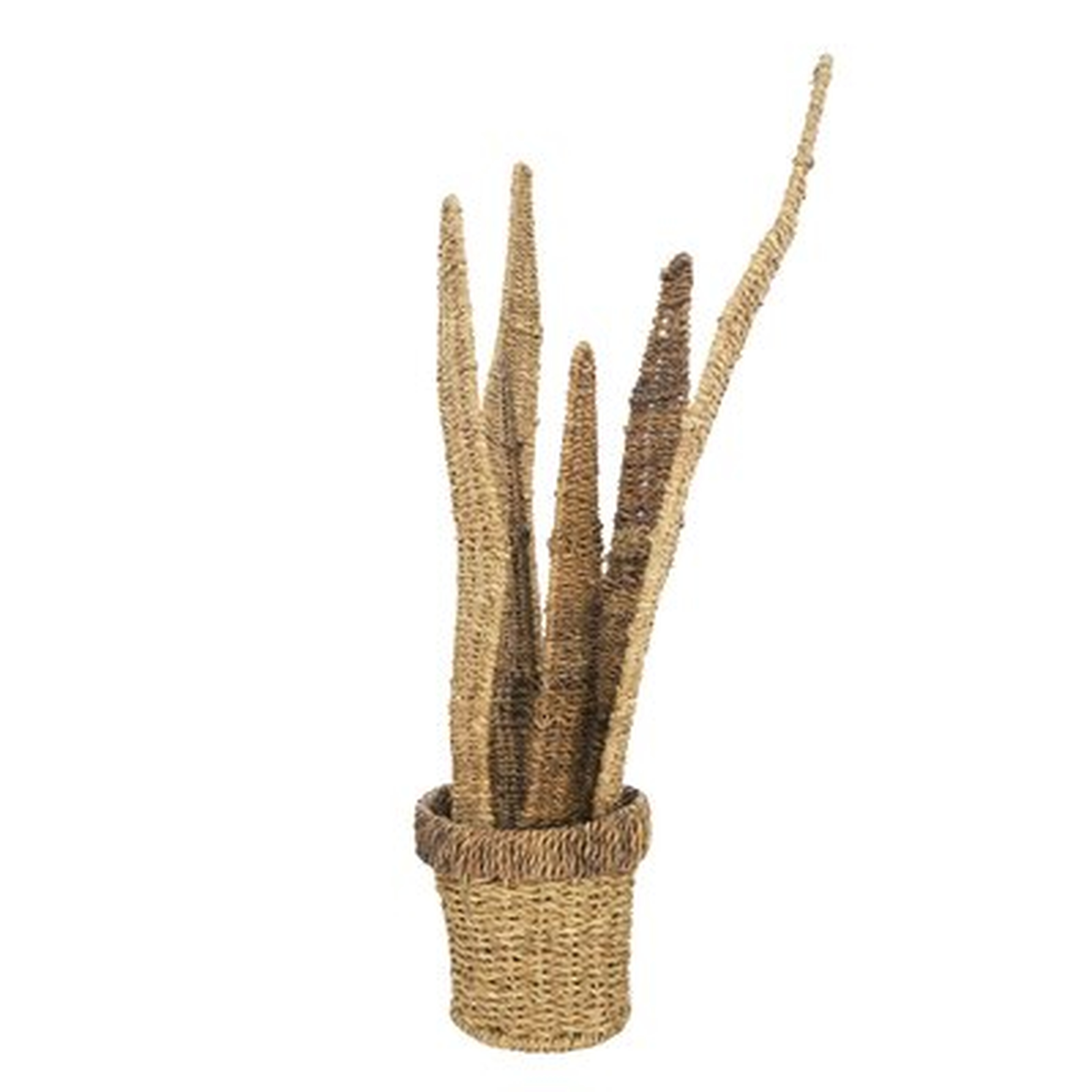 Nayeli Abaca and Seagrass Potted Plant - Wayfair