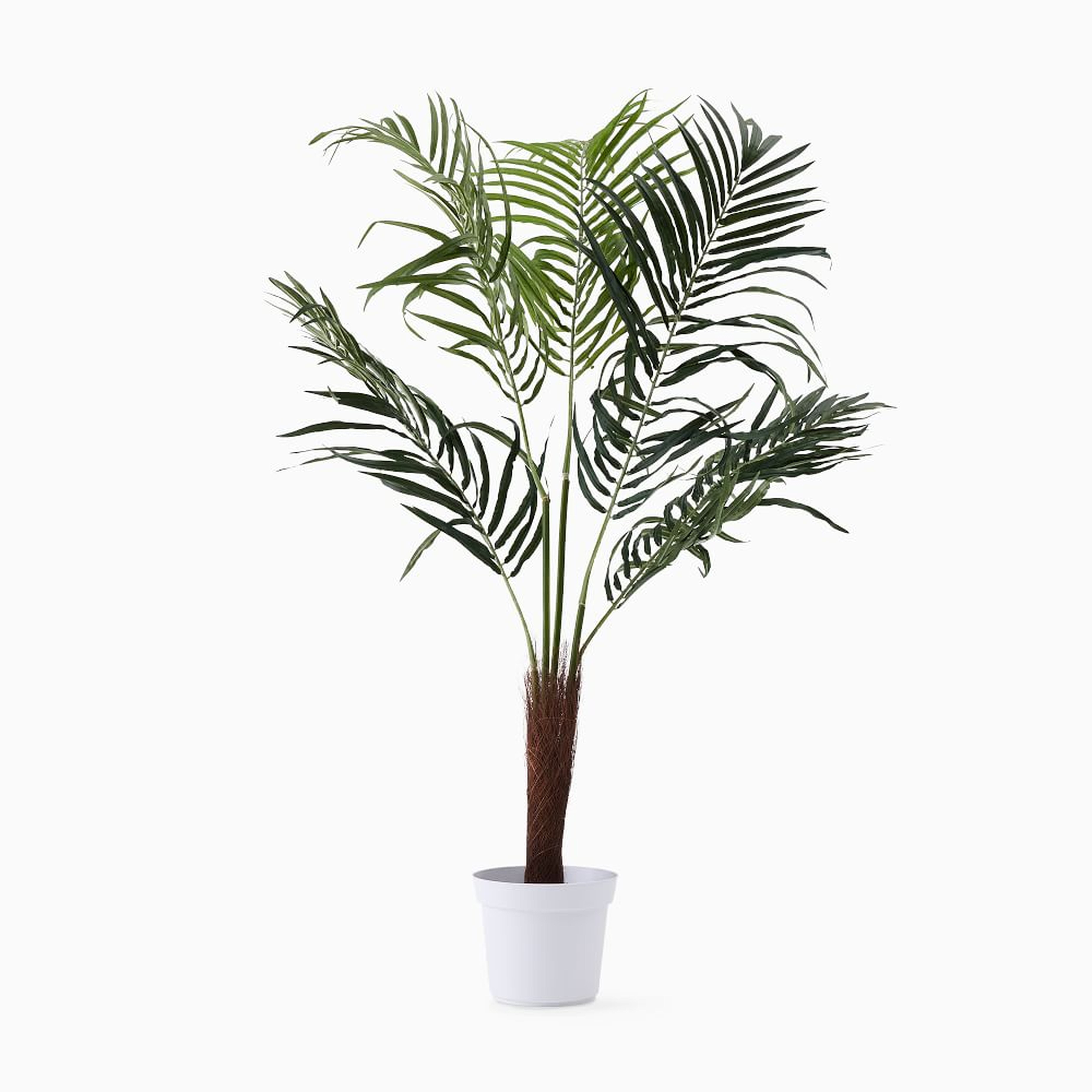 Faux Fan Palm Tree (Plant Only) - West Elm
