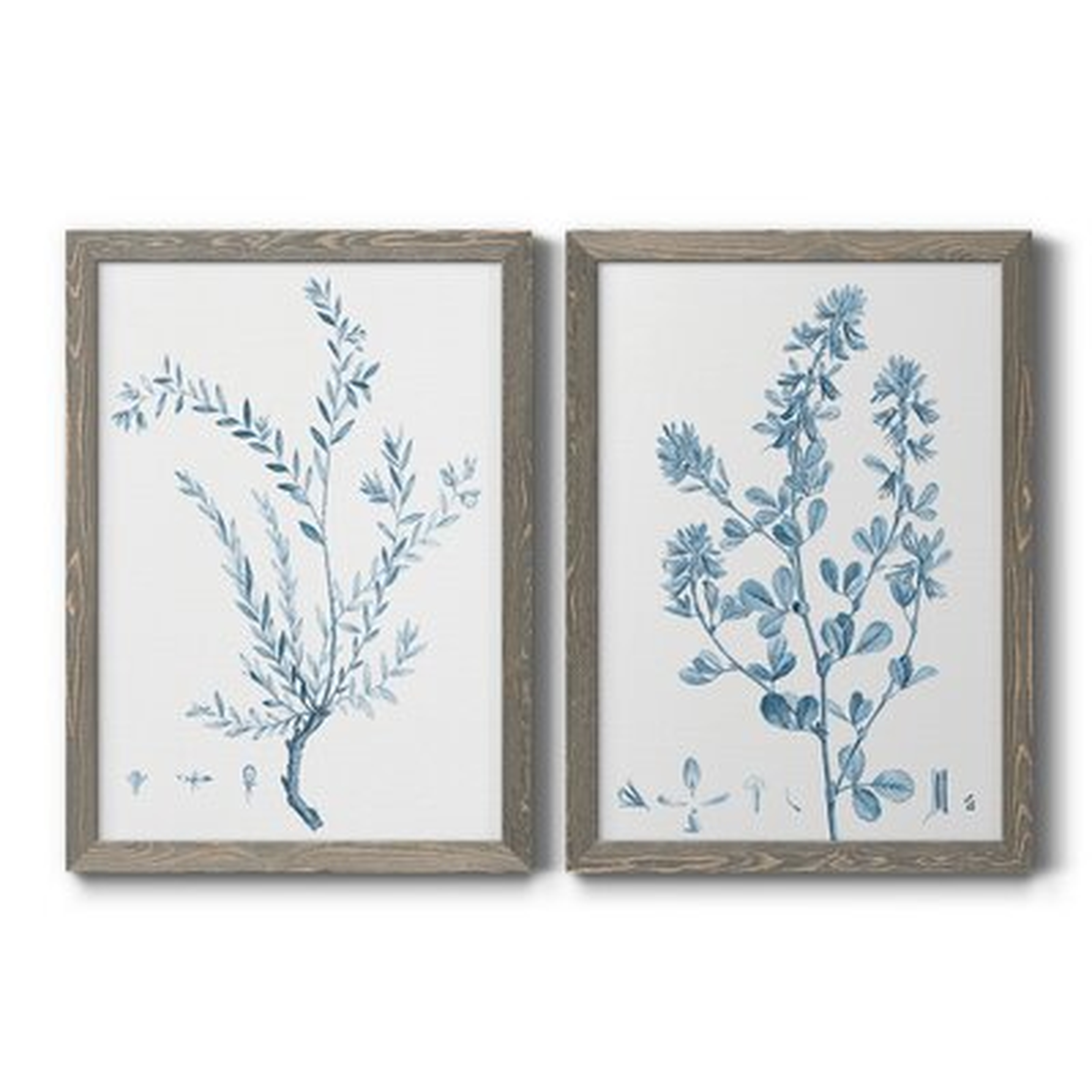 Antique Botanical In Blue VIIPremium Framed Canvas - Ready To Hang - Wayfair