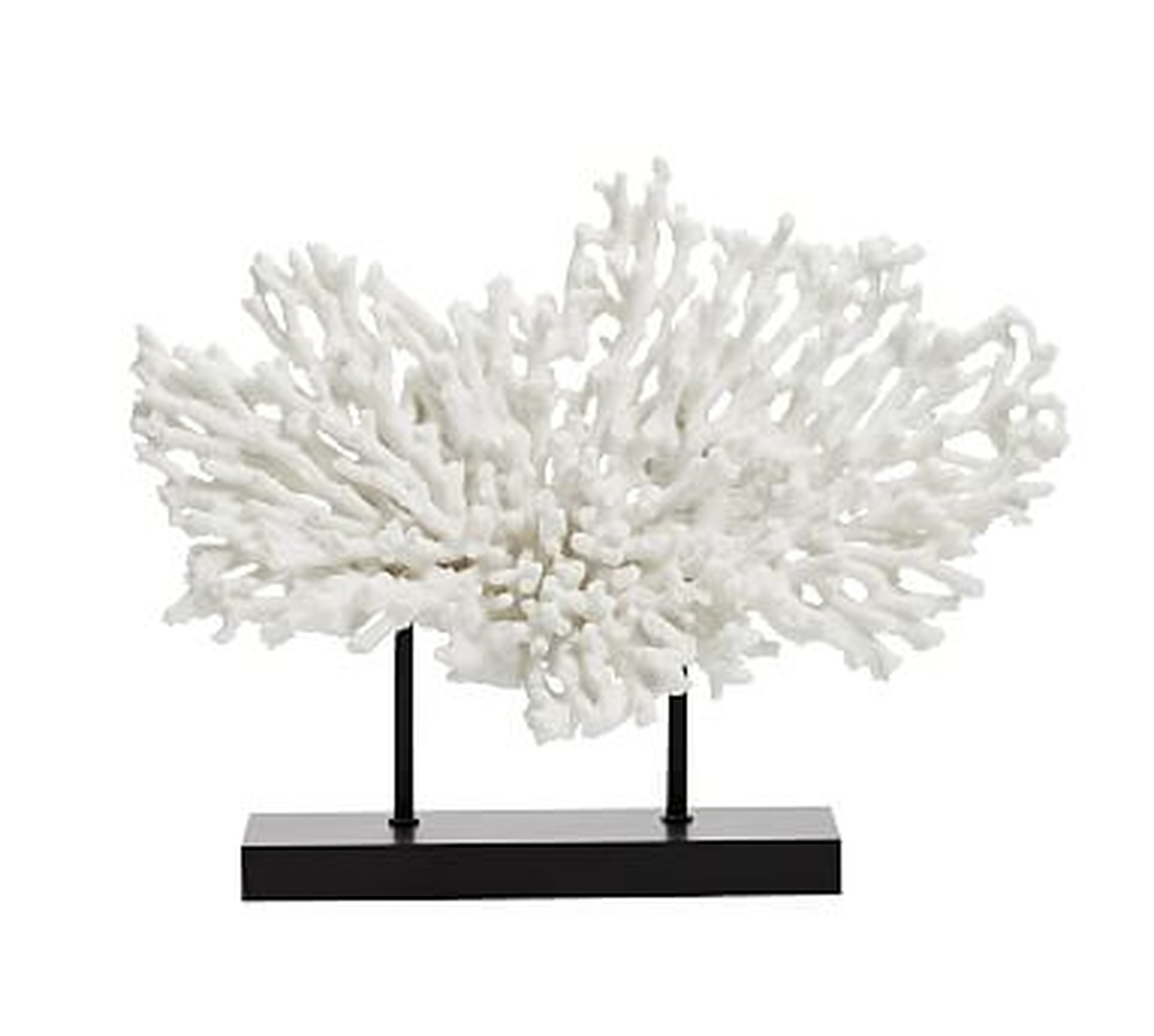 Faux Coral on Black Stand, White, Medium - Pottery Barn