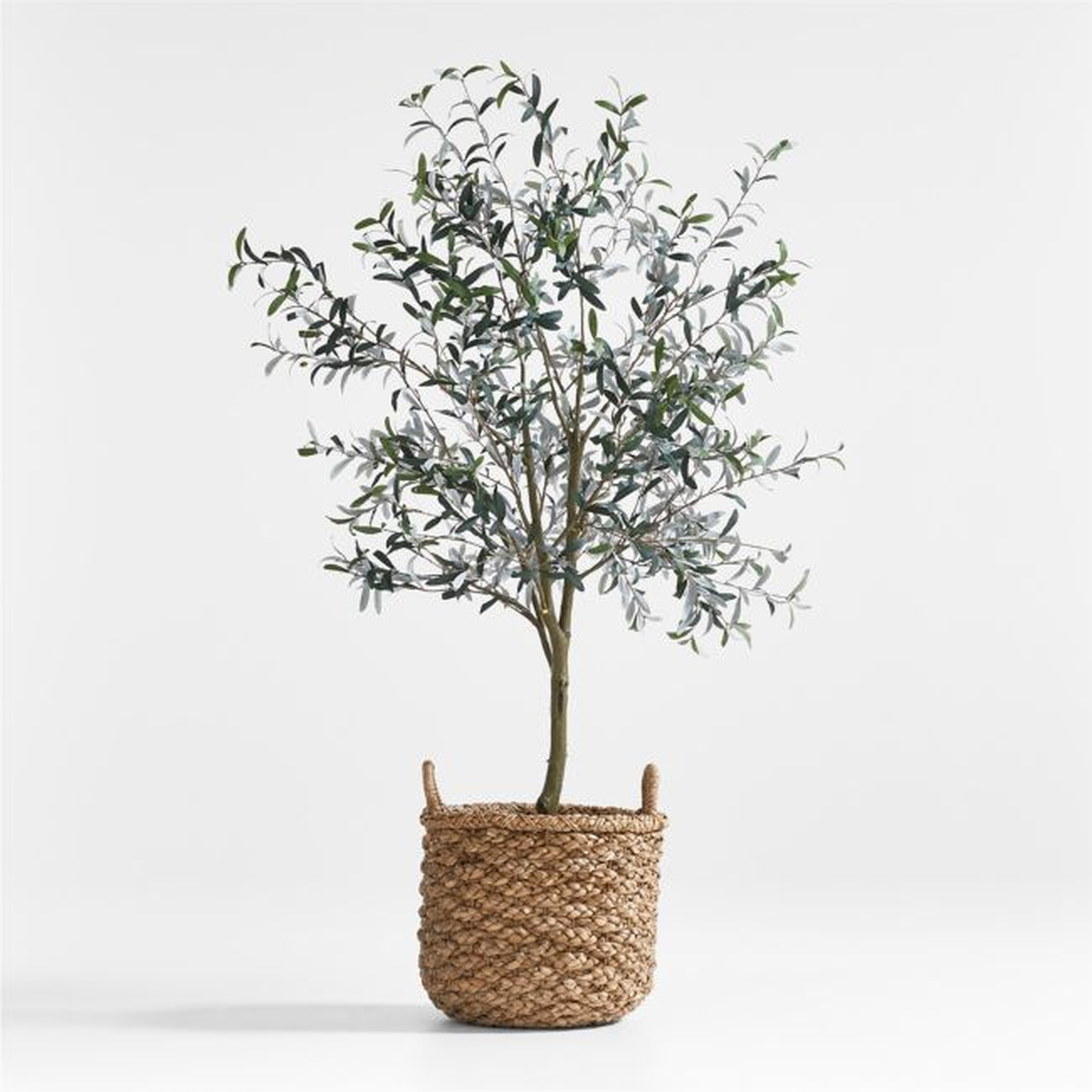 Emlyn Basket & Faux Olive Tree 7' Arrangement - Crate and Barrel