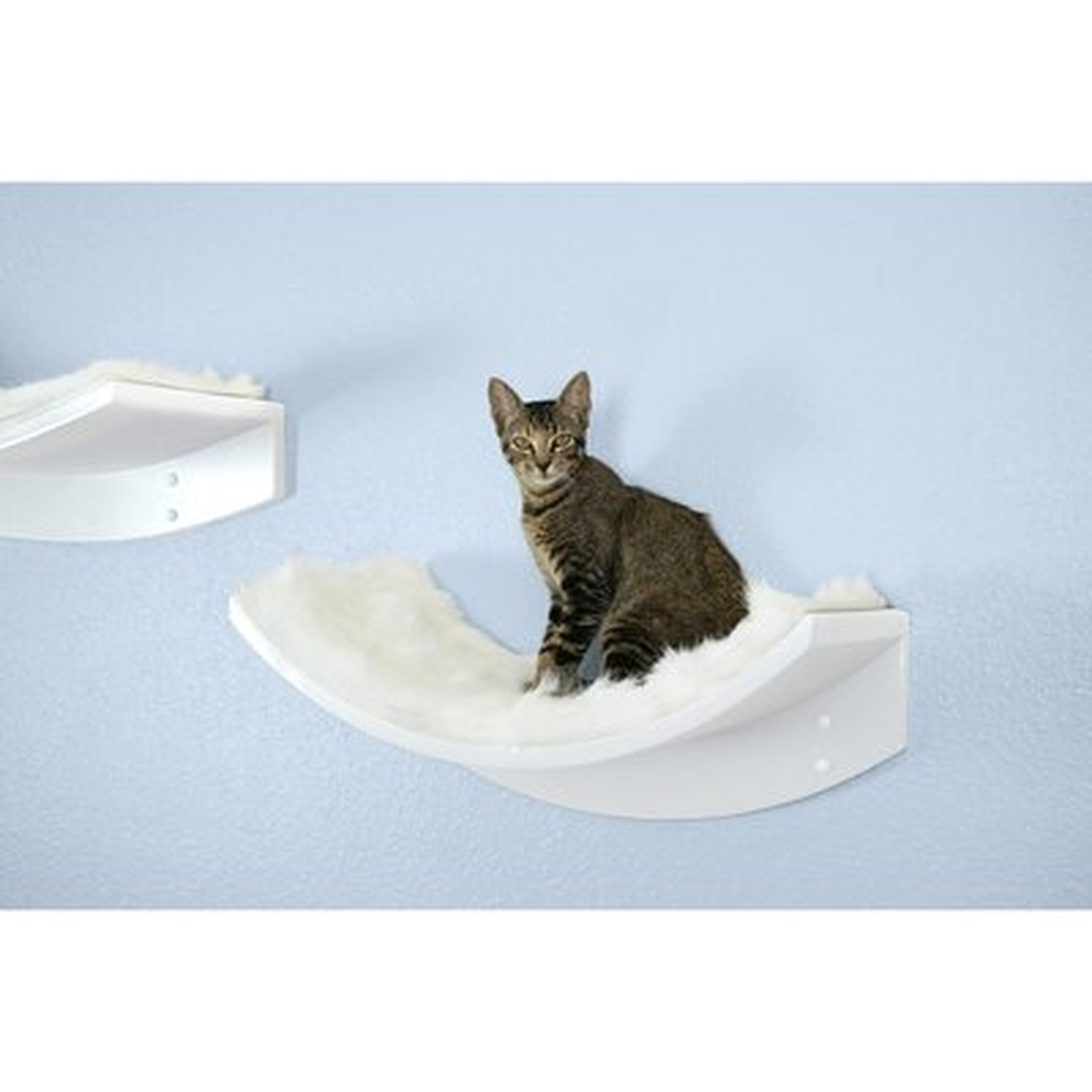 9" Cleopatra Leaf Cat Perch - Wayfair