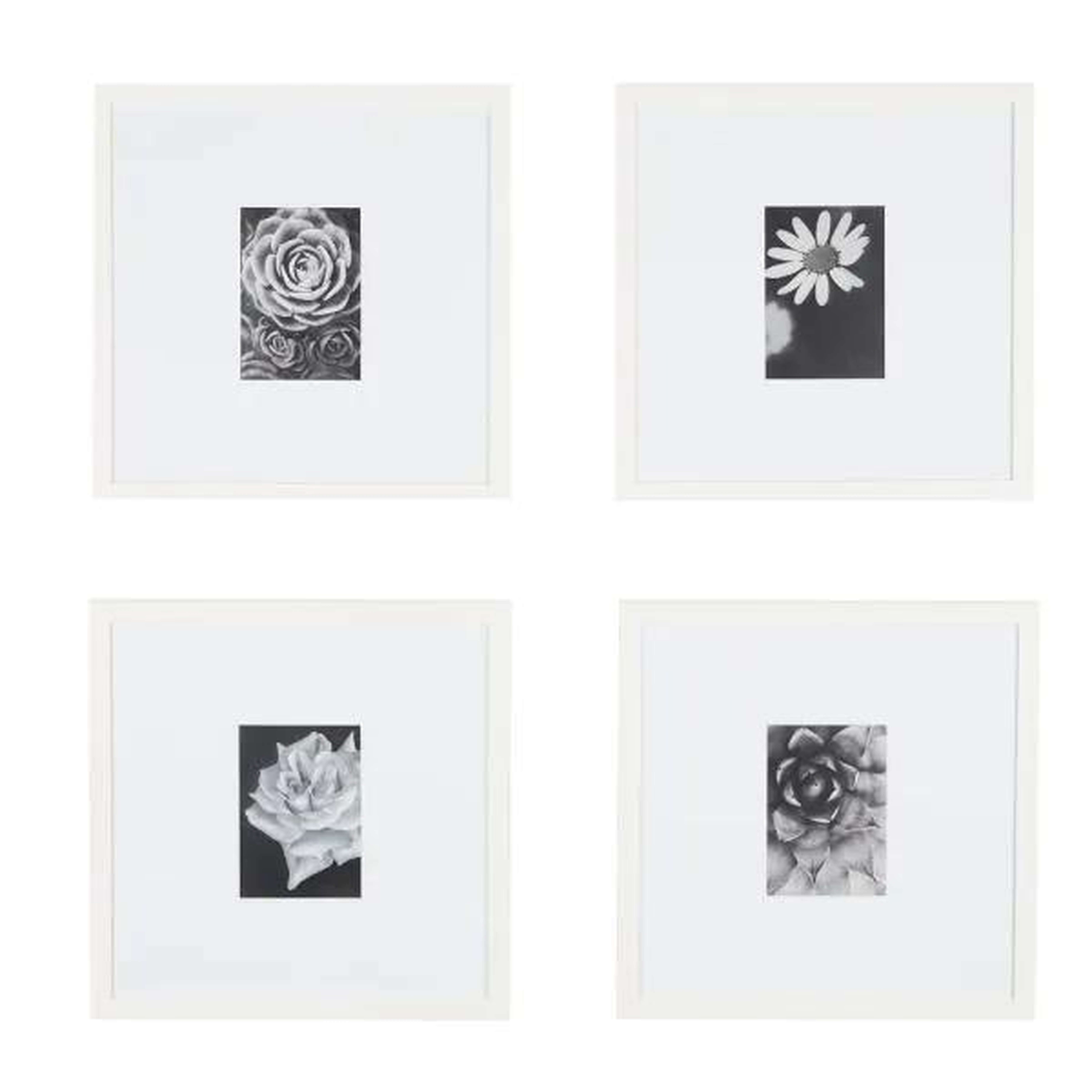 Gallery Picture Frames with White Matte, White, Set of 4 - Home Depot