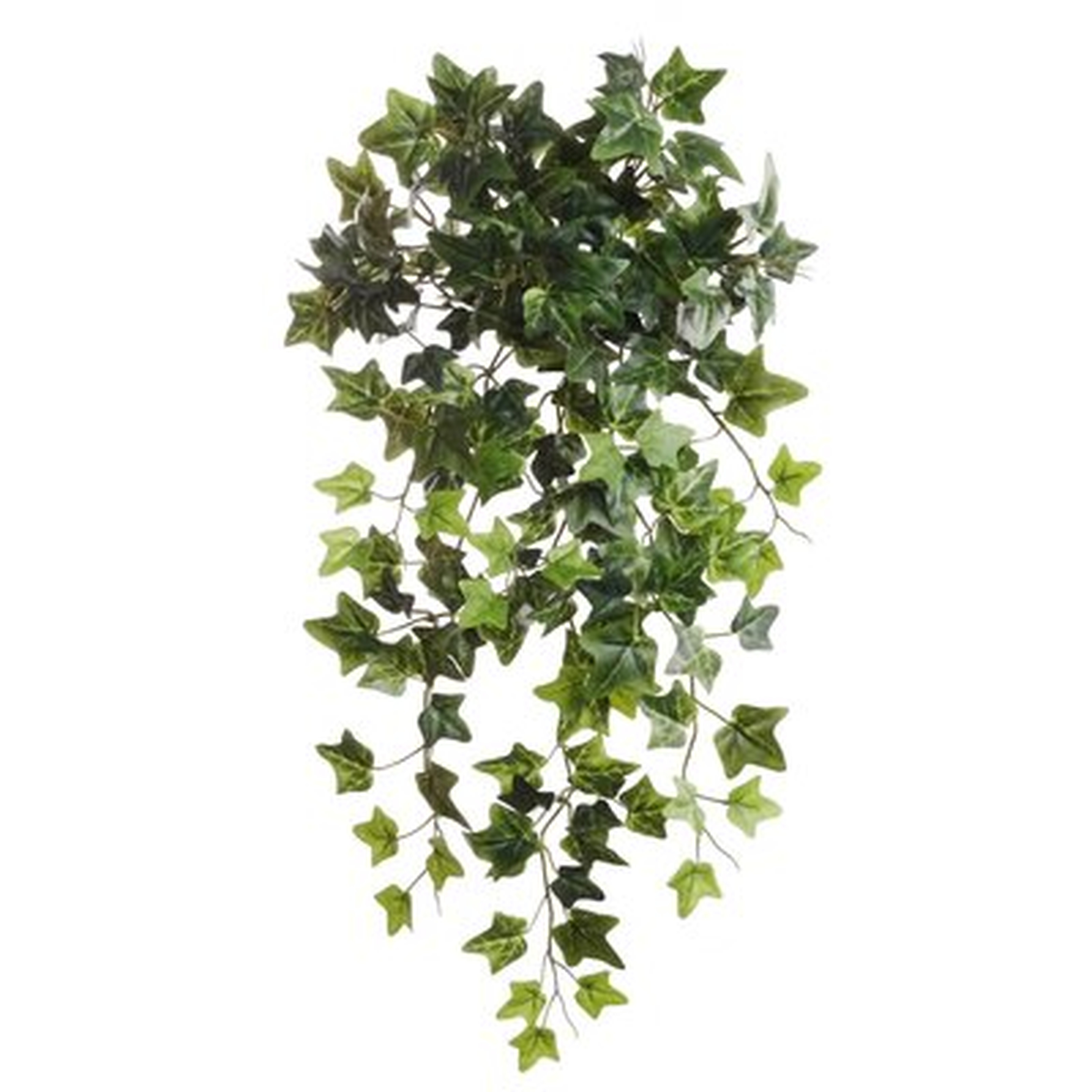 Voluminous Ivy Plant (set of 2) - Wayfair
