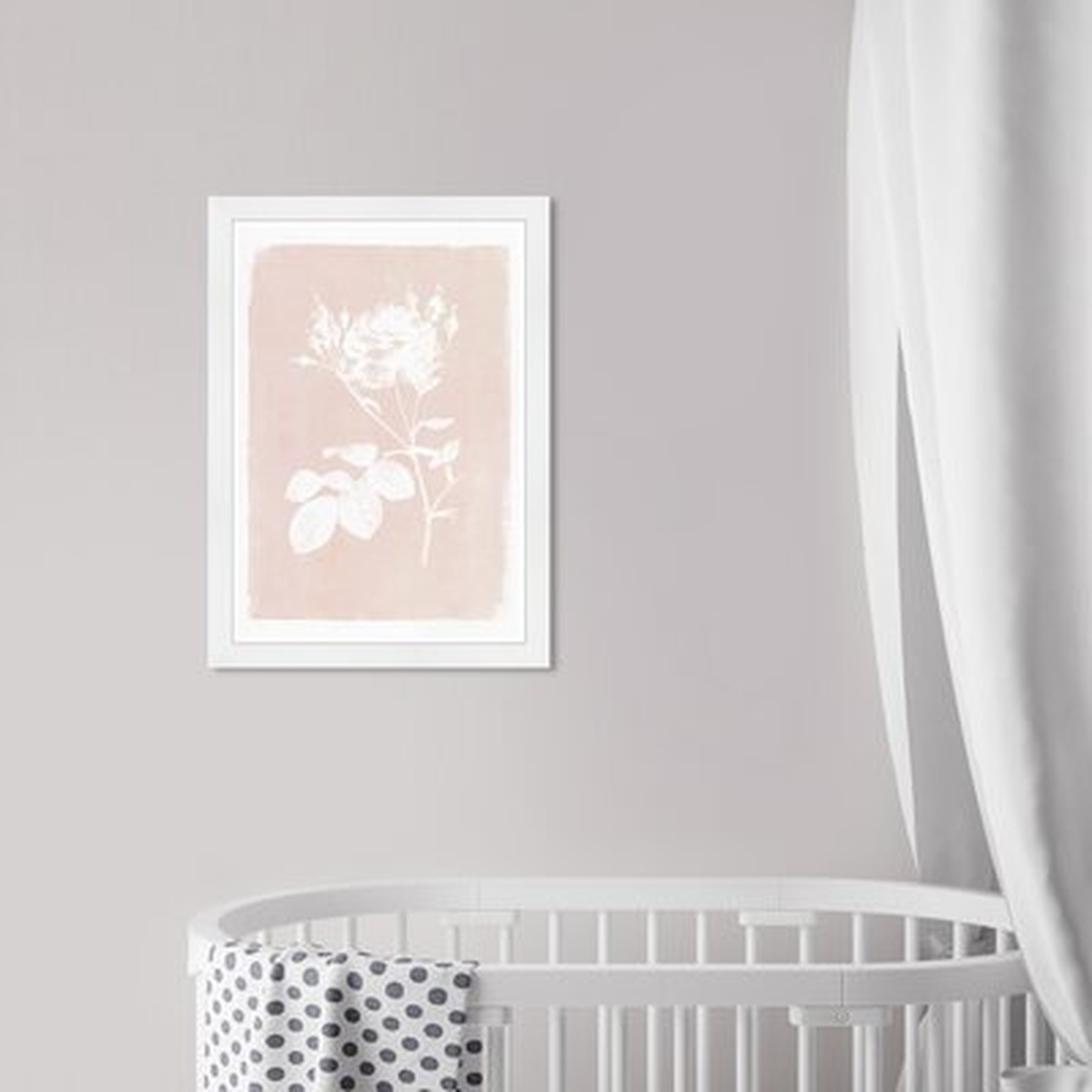 Botanical Illustration Iii Framed Art - Wayfair