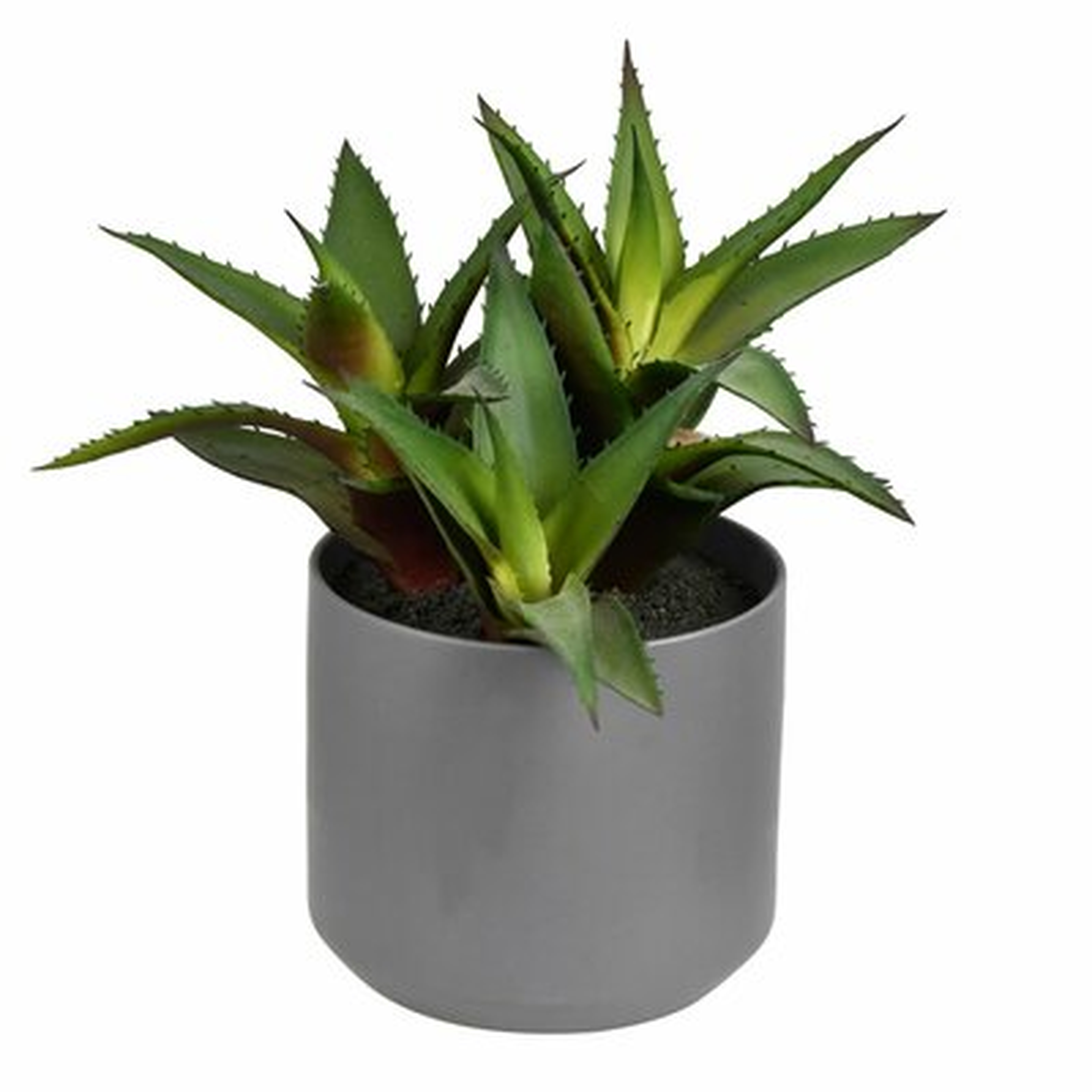 Artificial Aloe Plant in Pot - Wayfair