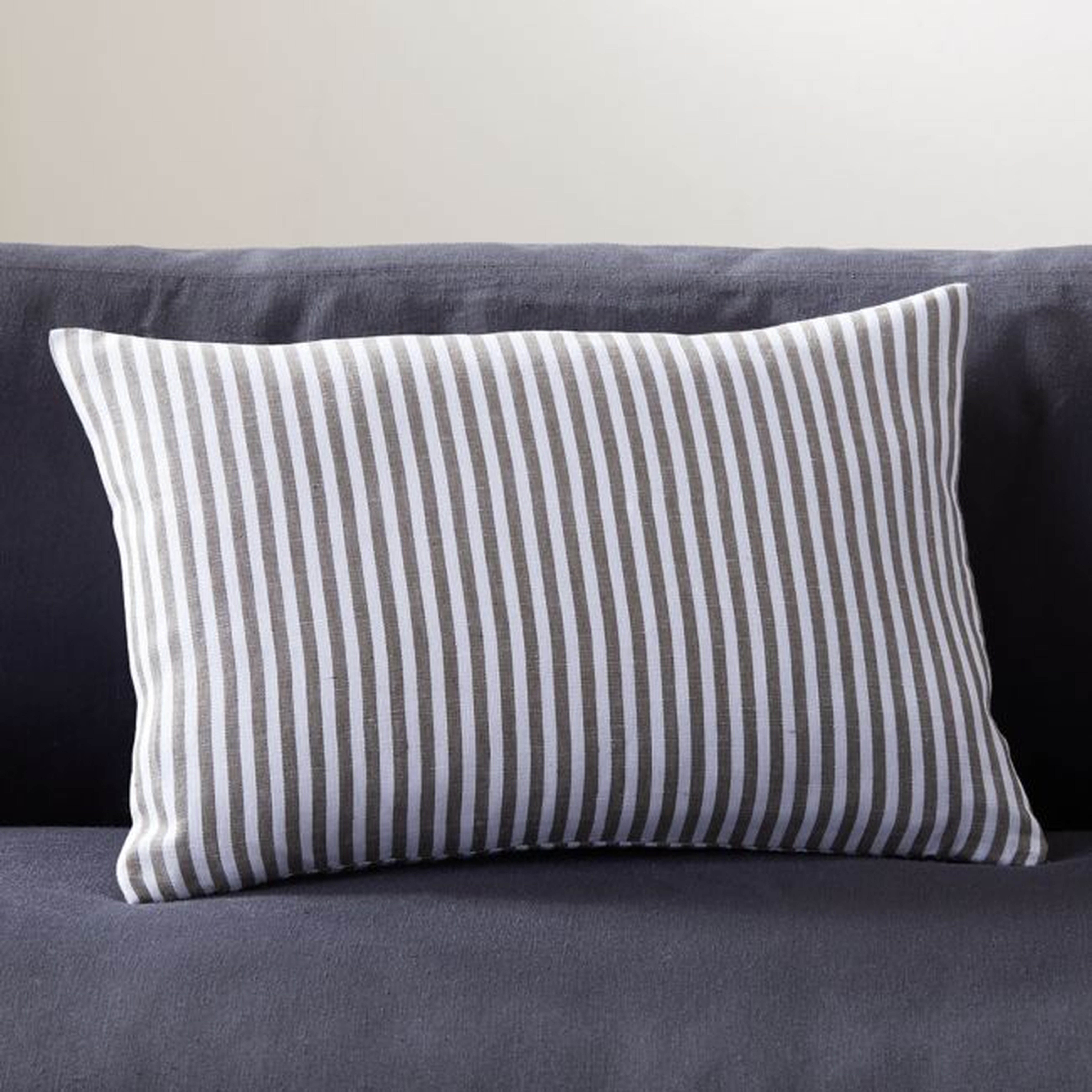 18''x12" Crossing Pillow with Feather-Down Insert - CB2
