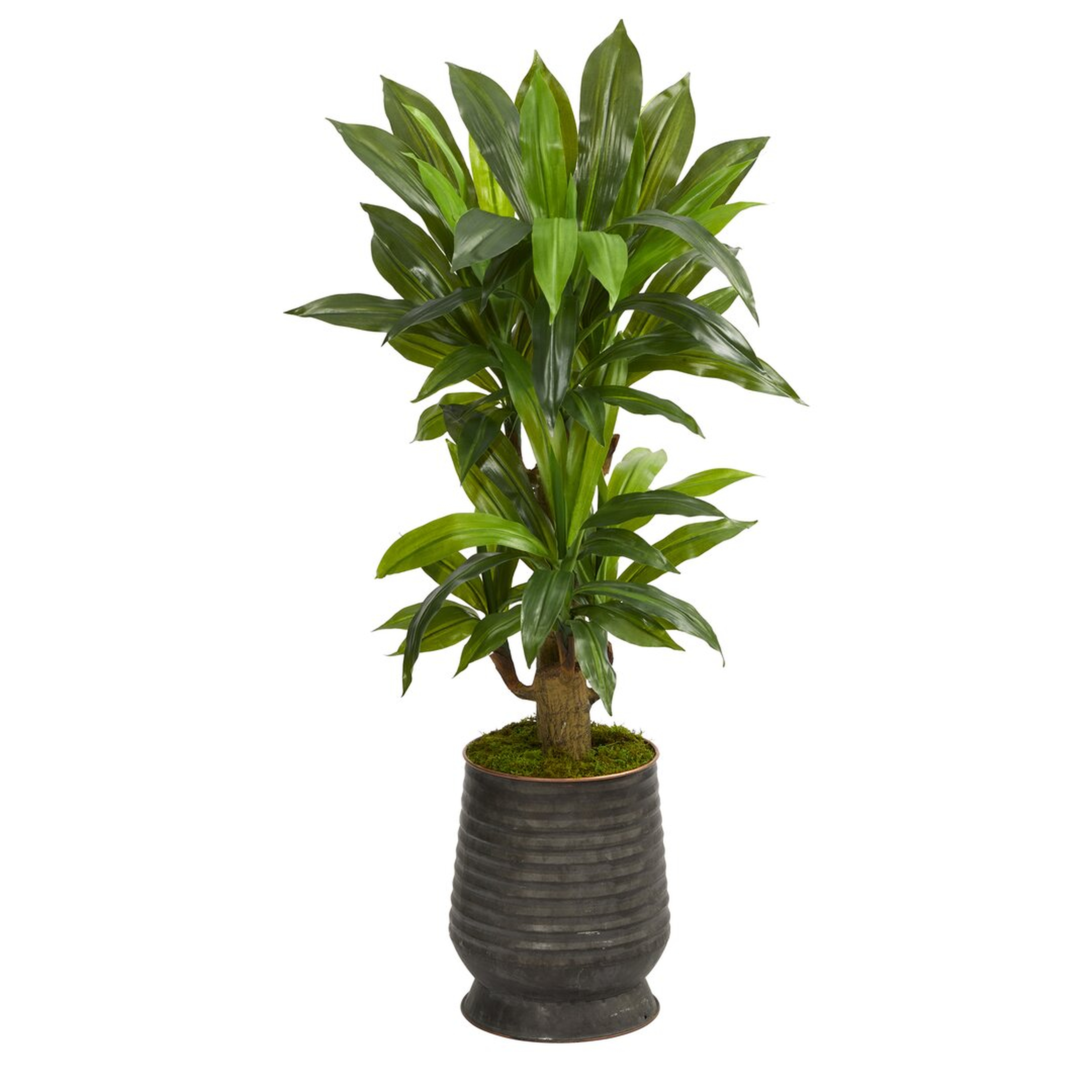 Nearly Natural 40'' Artificial Snake Plant in Planter - Perigold