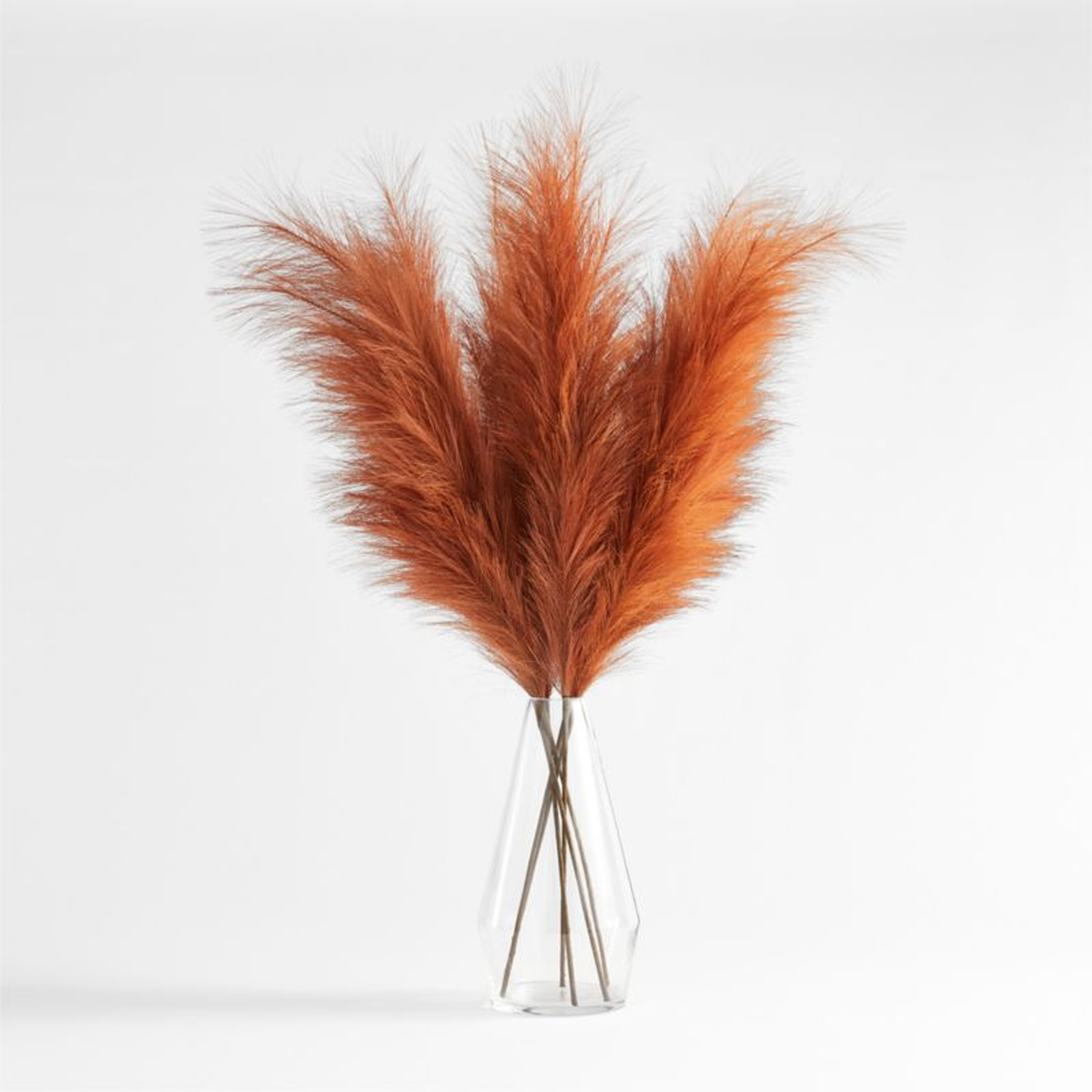 Rust Faux Pampas Grass - Crate and Barrel