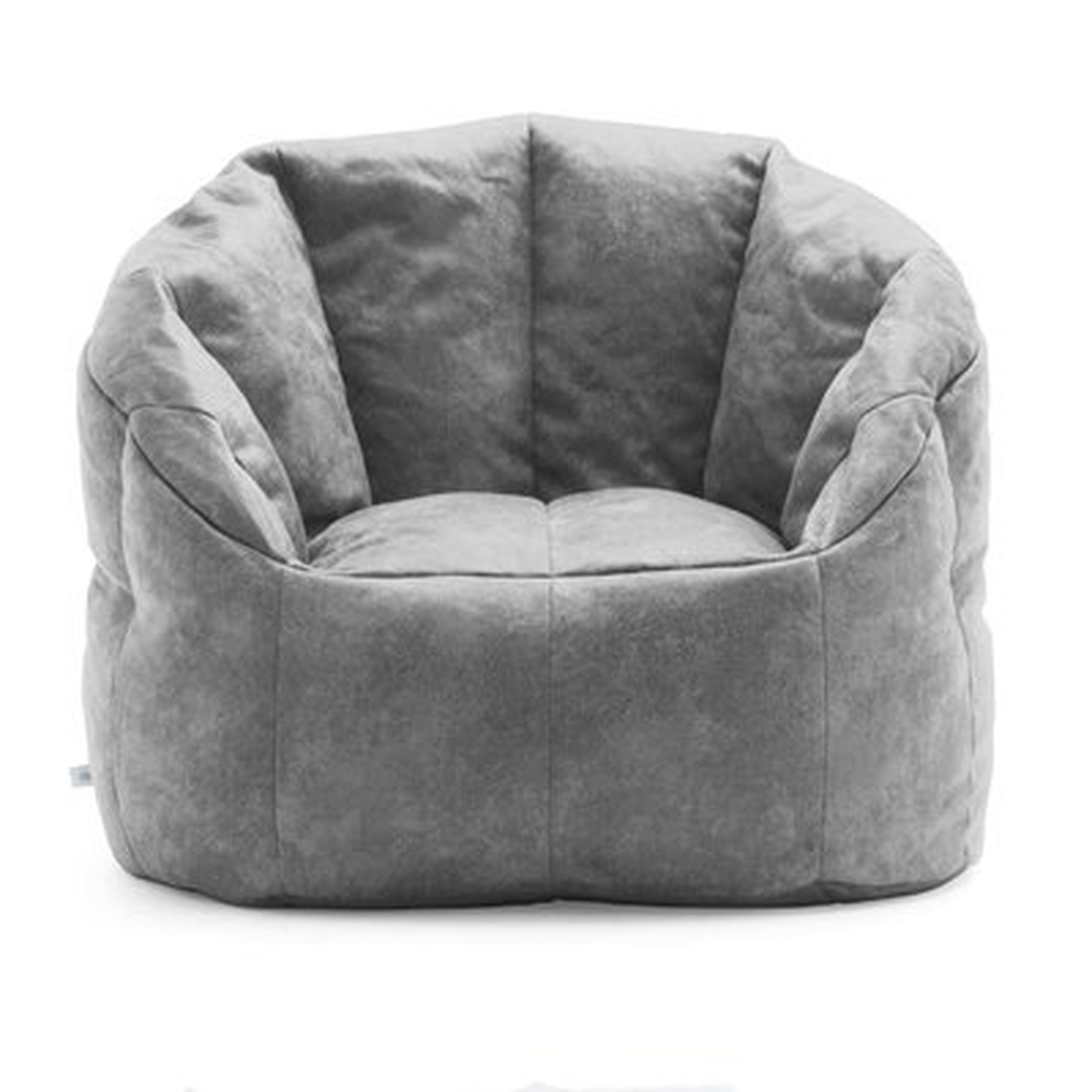 Big Joe Lux Standard Bean Bag Chair - Birch Lane