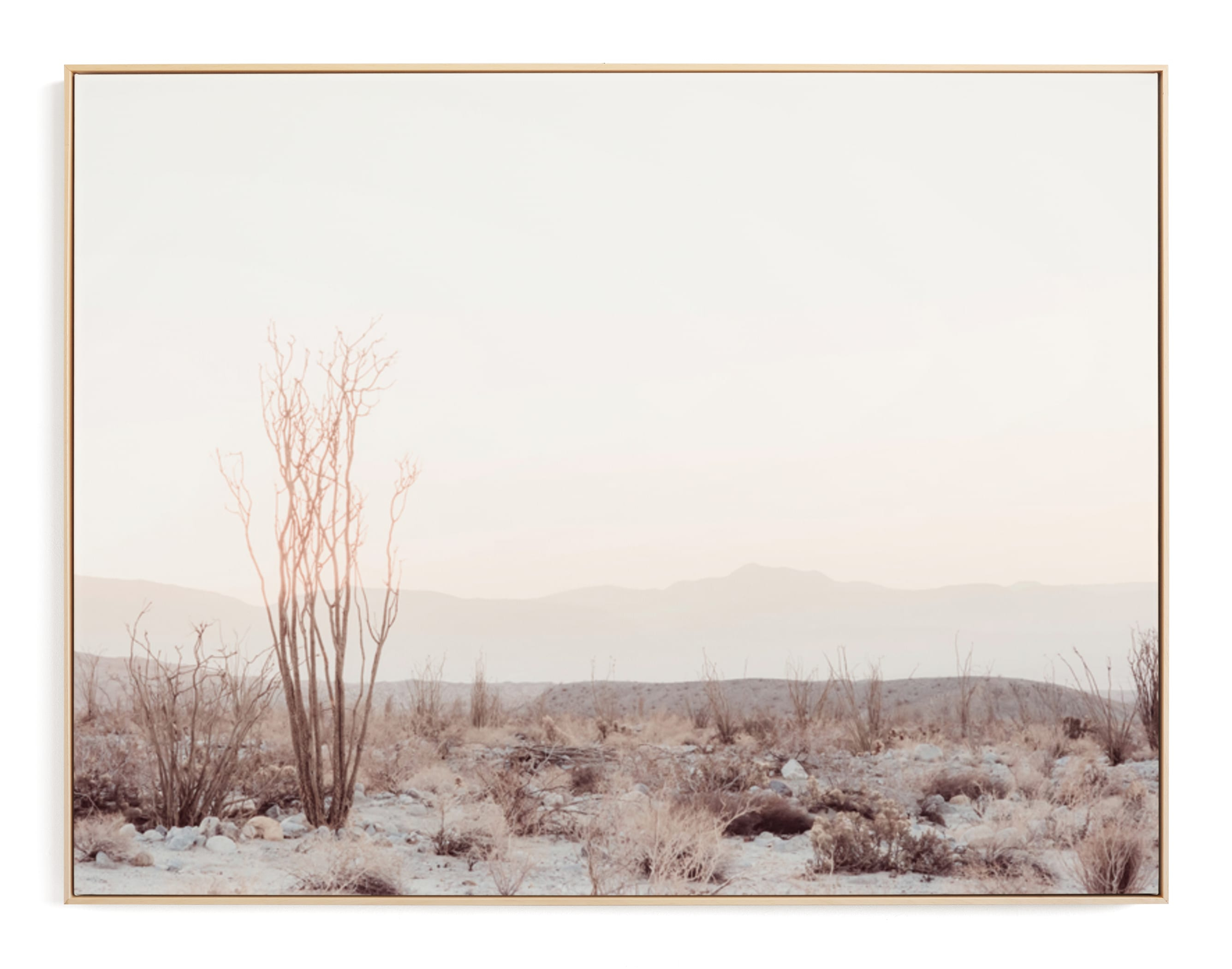 Ocotillo II Art Print - Minted