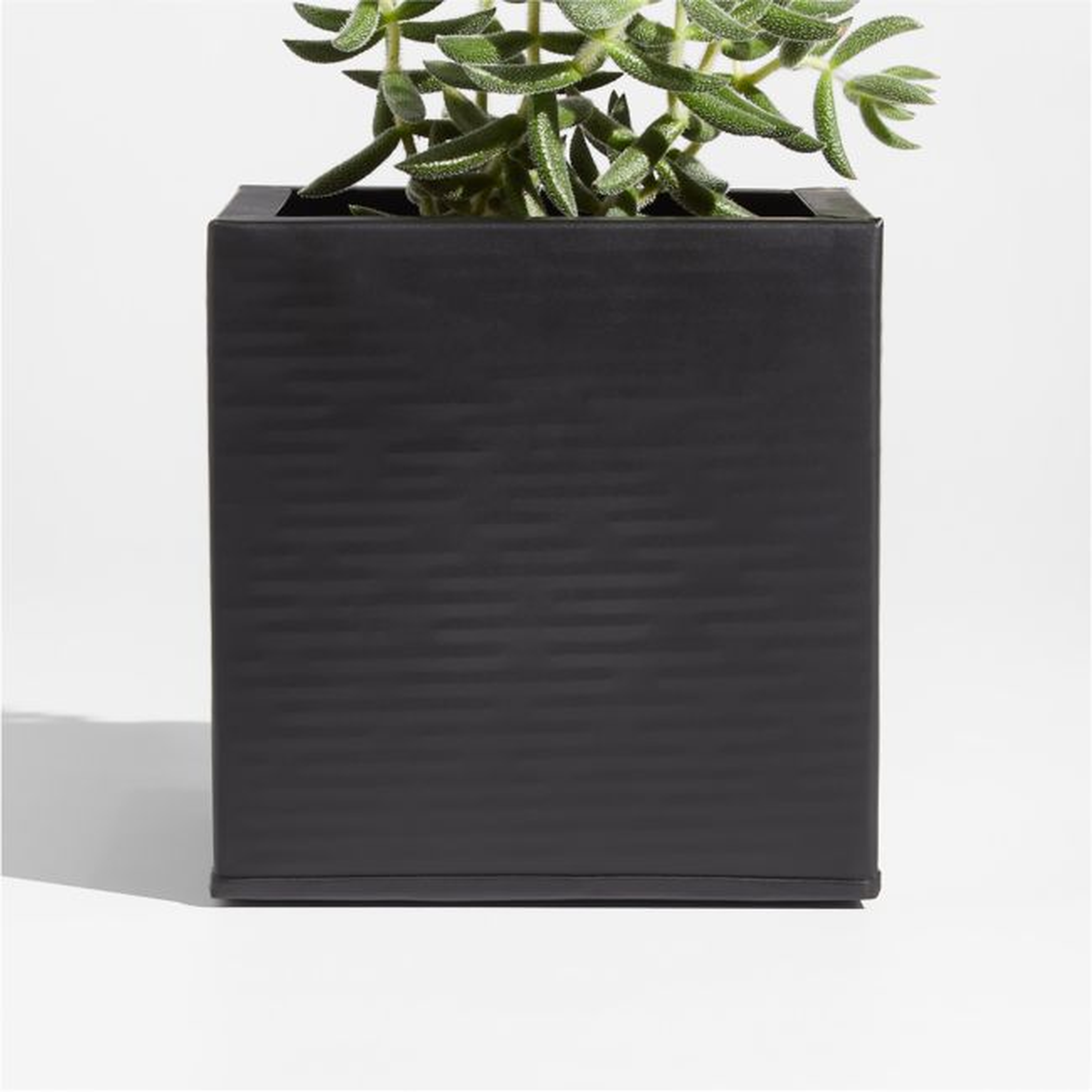 Black Planter Box for Wall Mounted Indoor/Outdoor Planter - Crate and Barrel