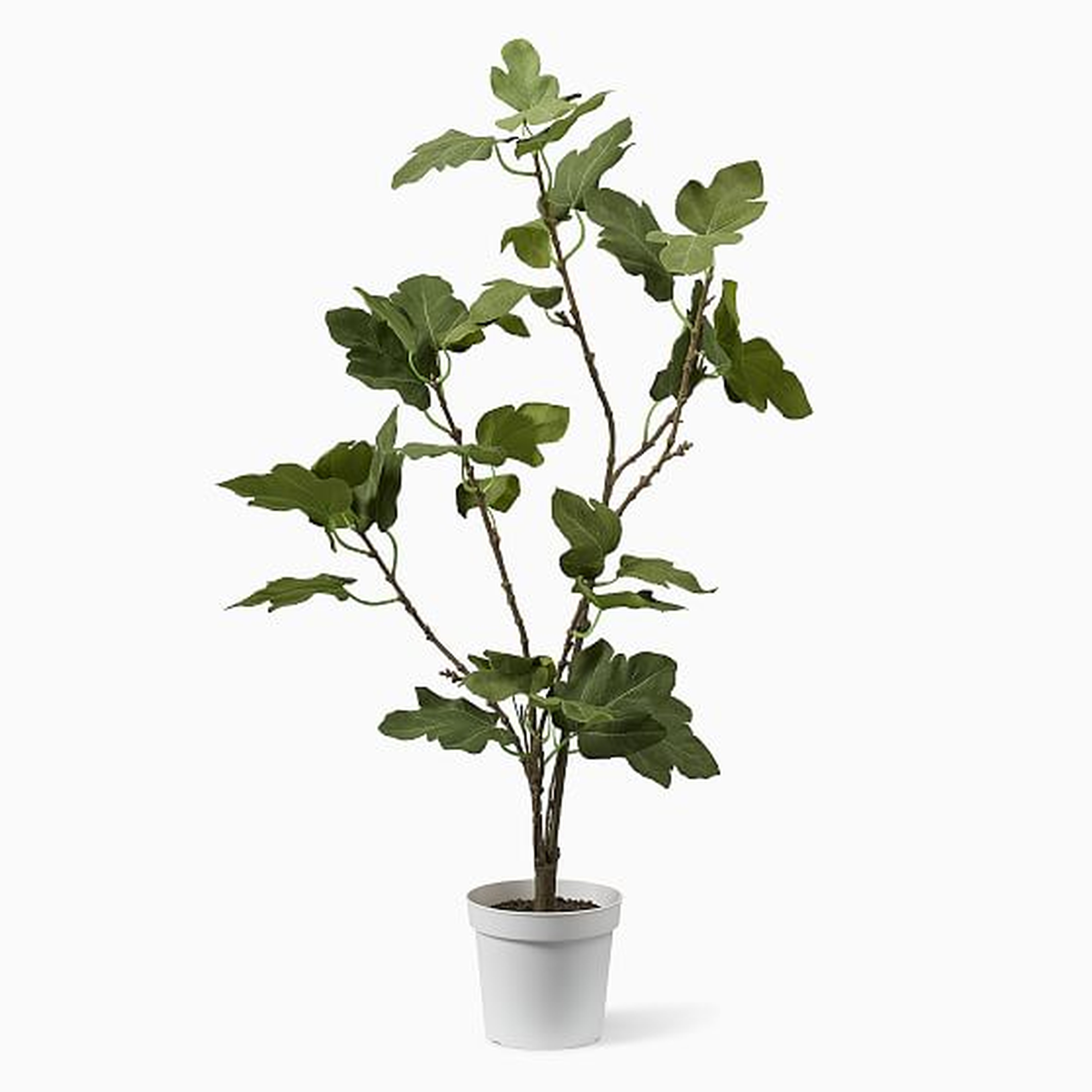Faux Potted Fig Tree, 36'' - West Elm