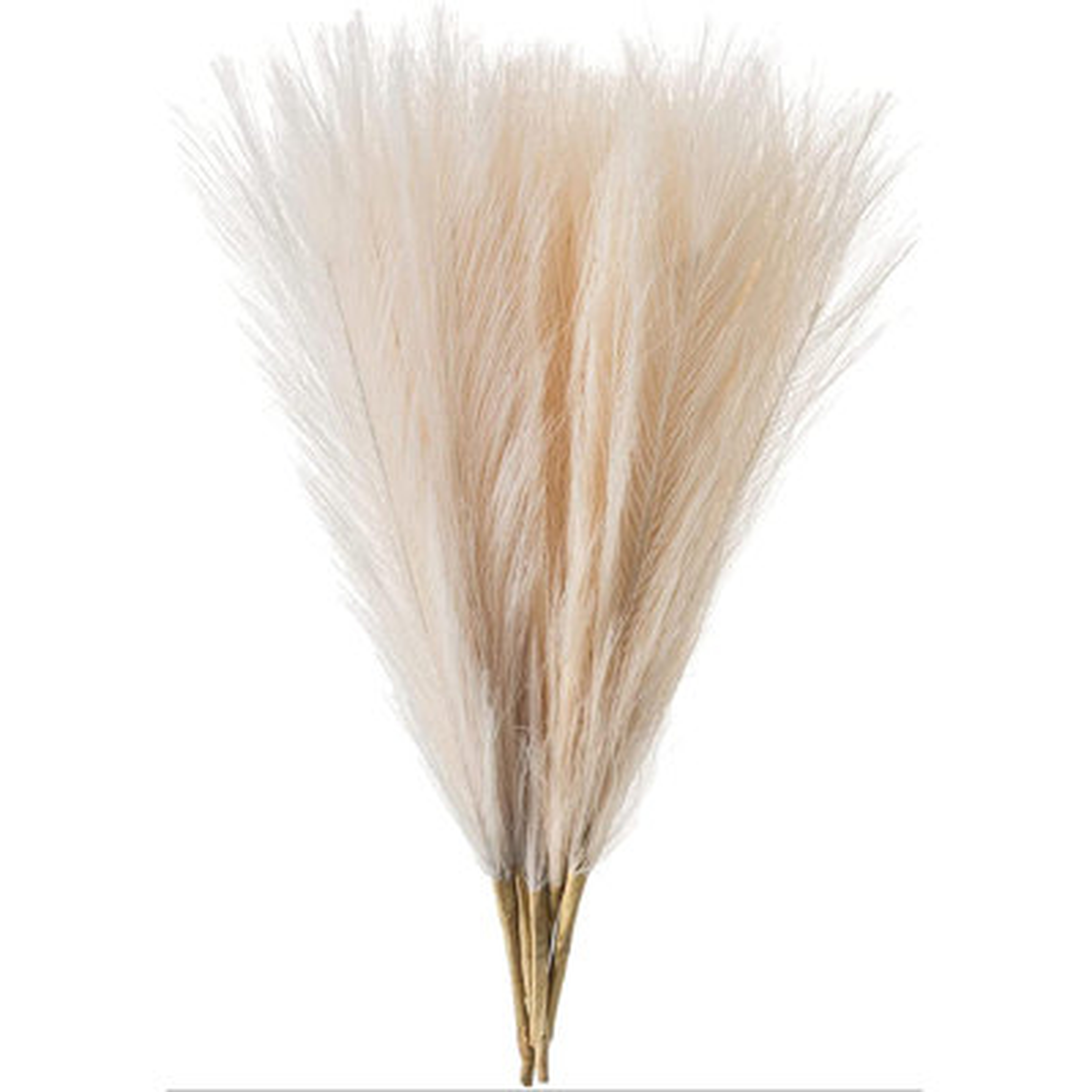 Pampas Grass Decor Small Fluffy Faux Dried Pampas Grass - Wayfair