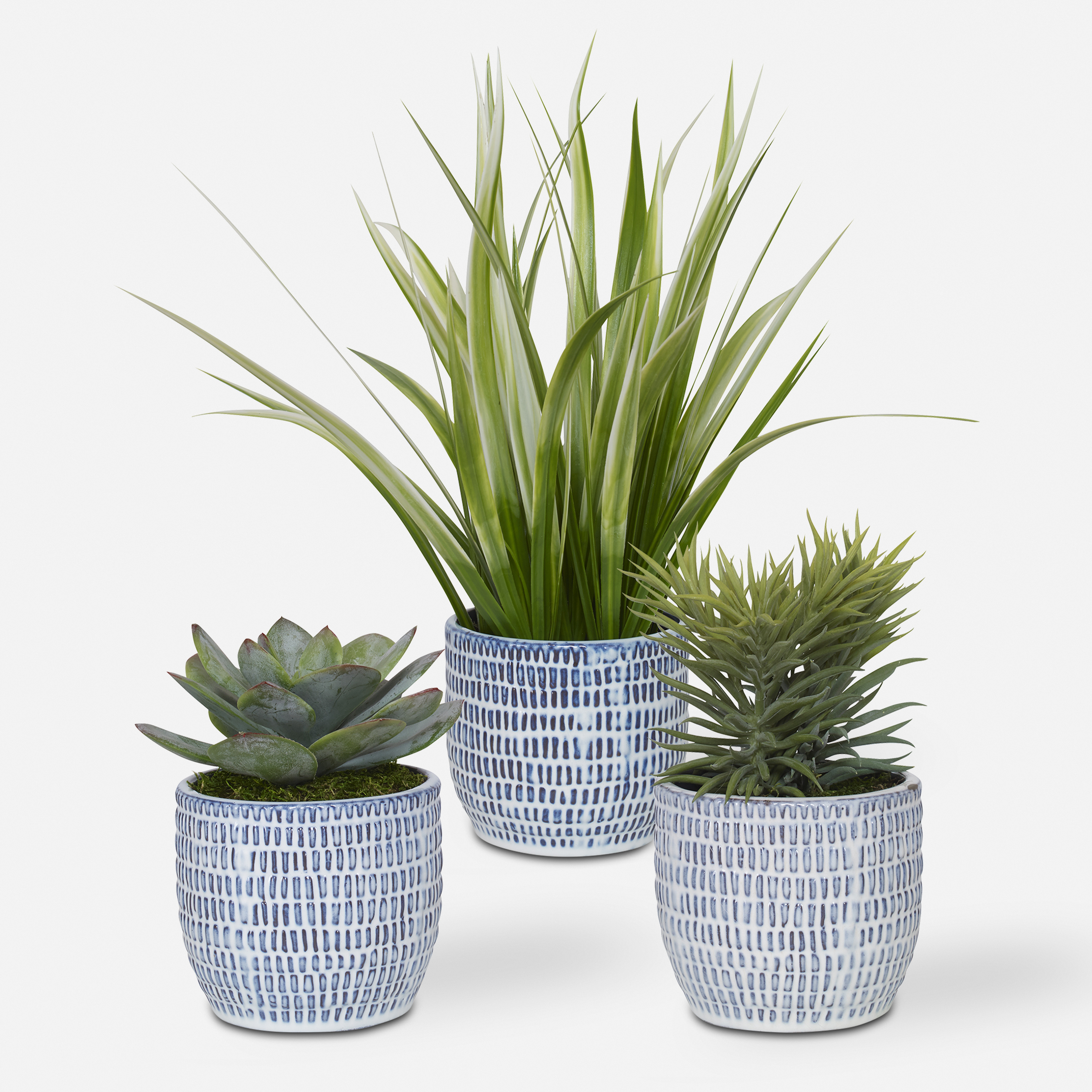 Puebla Greenery In Blue & White Pots, S/3 - Uttermost