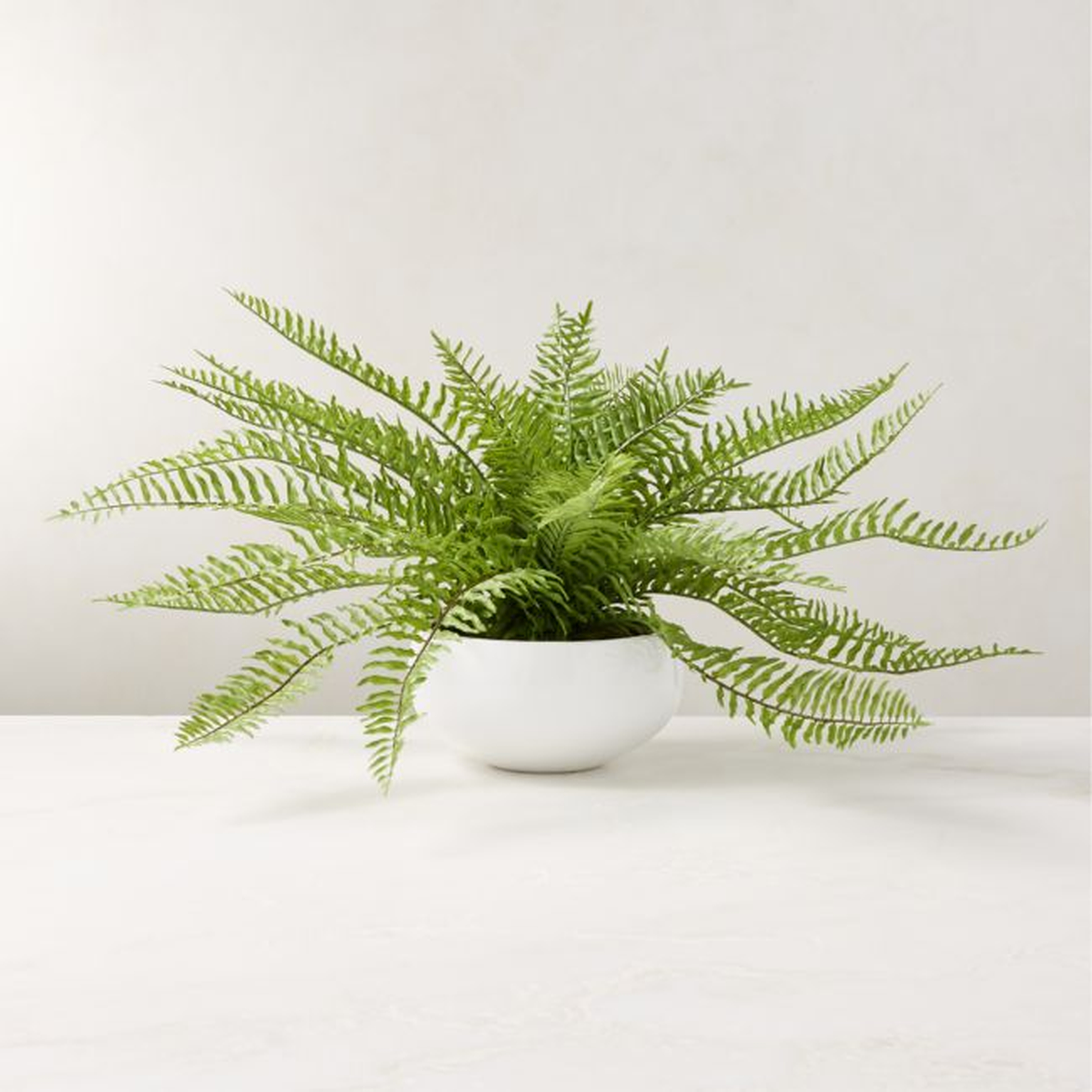 Faux Potted Fern Plant 10" - CB2