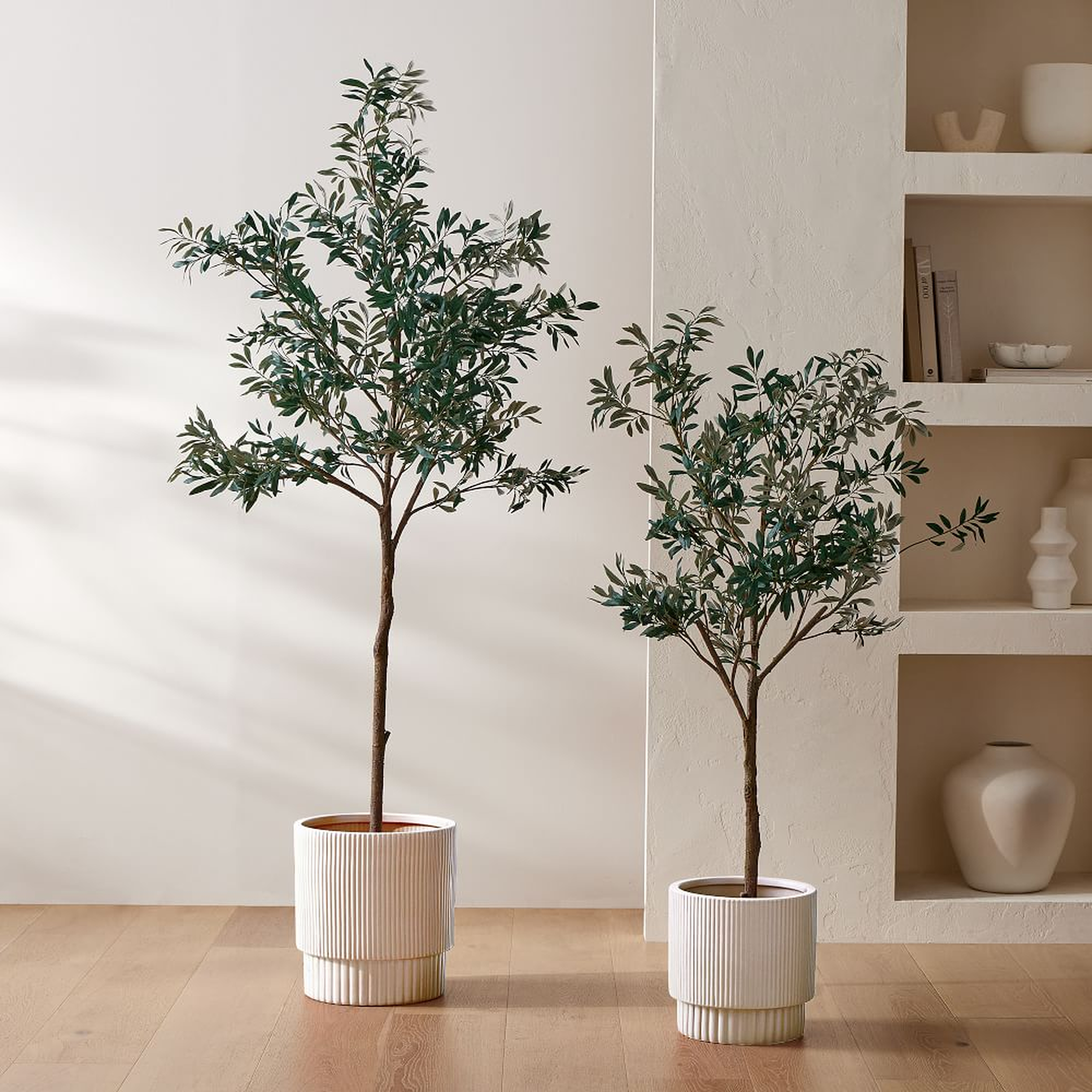 Olive Tree 7' & Medium Fluted Ceramic Planter Bundle - West Elm