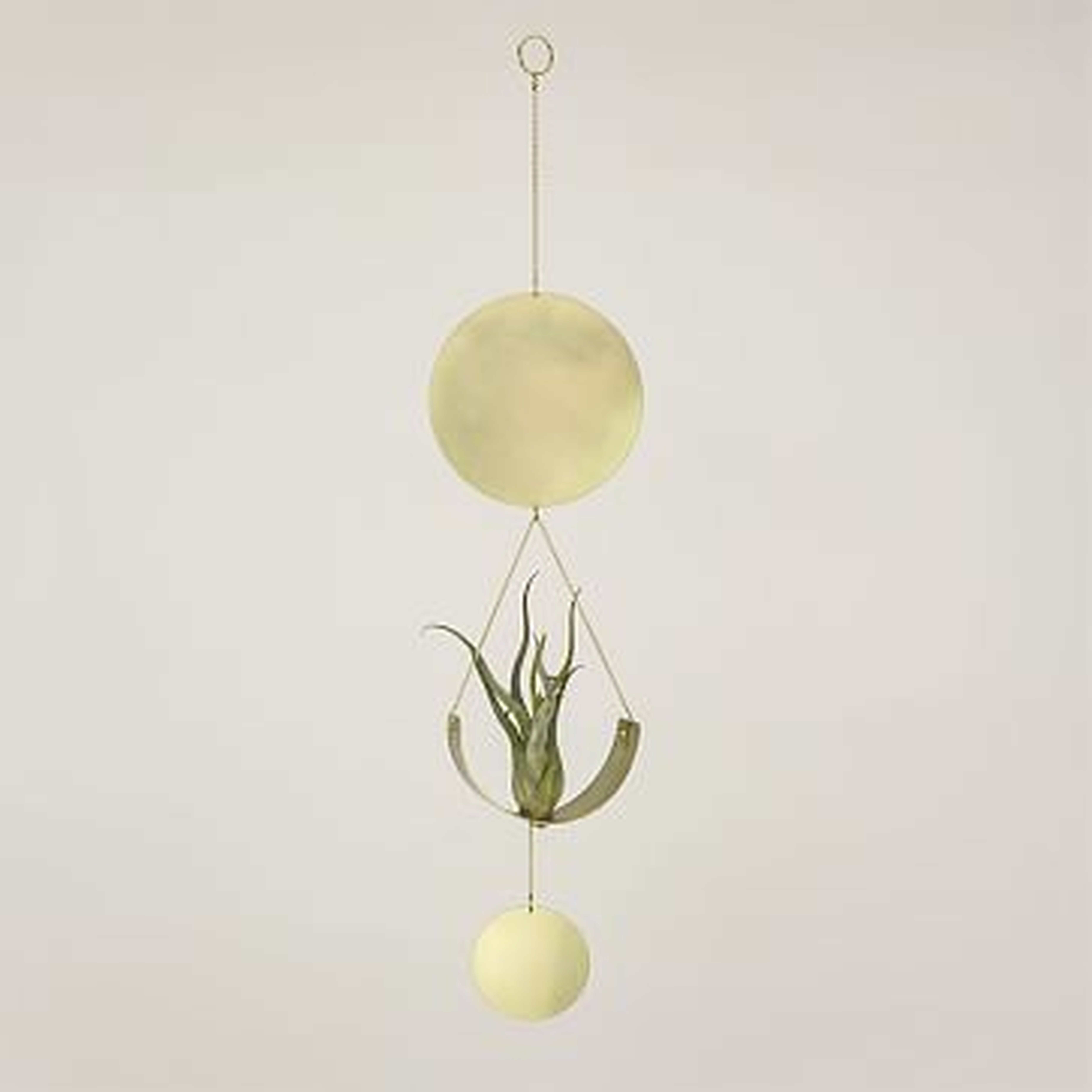 Circle & Line Air Plant Wall Hanging - West Elm