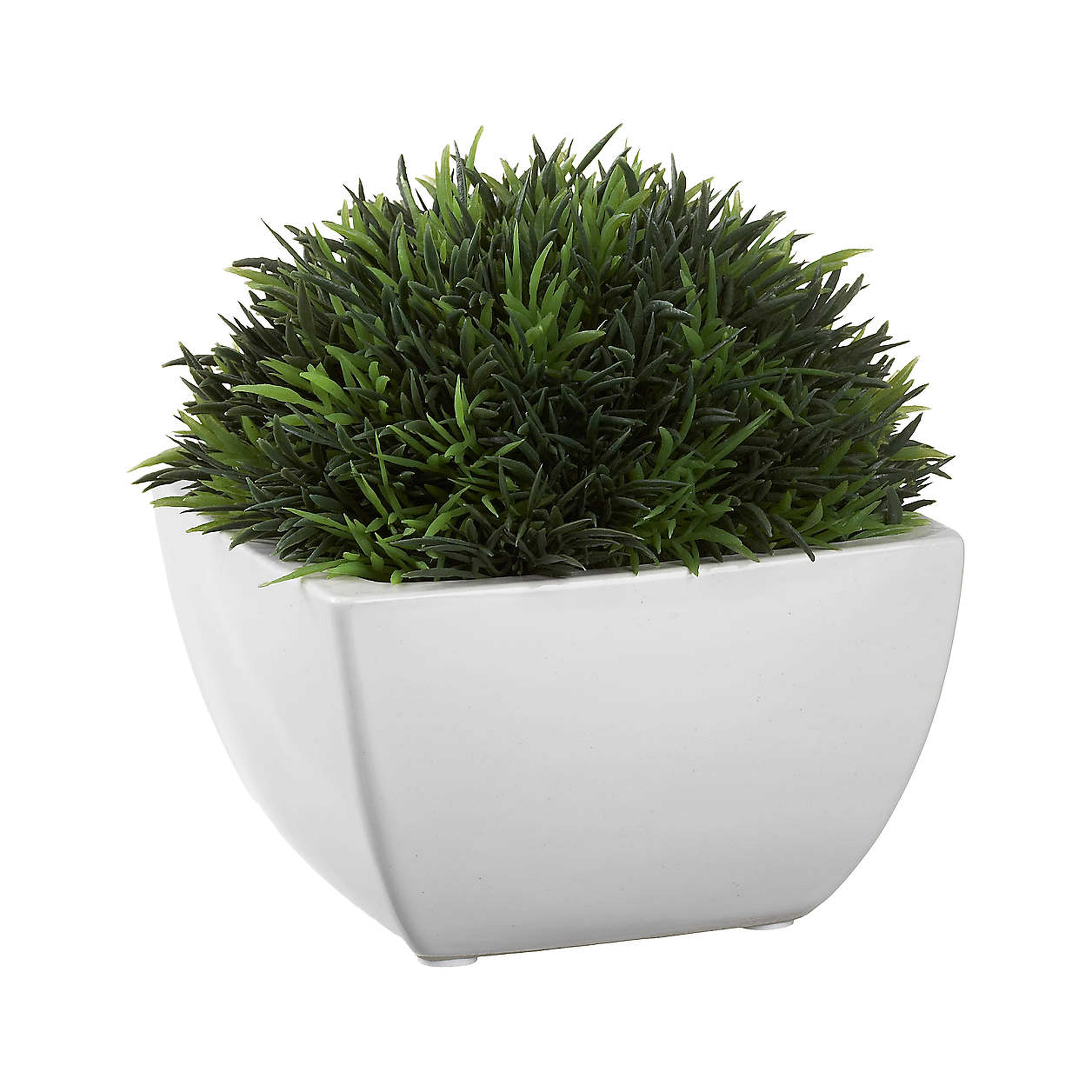 Faux Potted Moss - Crate and Barrel