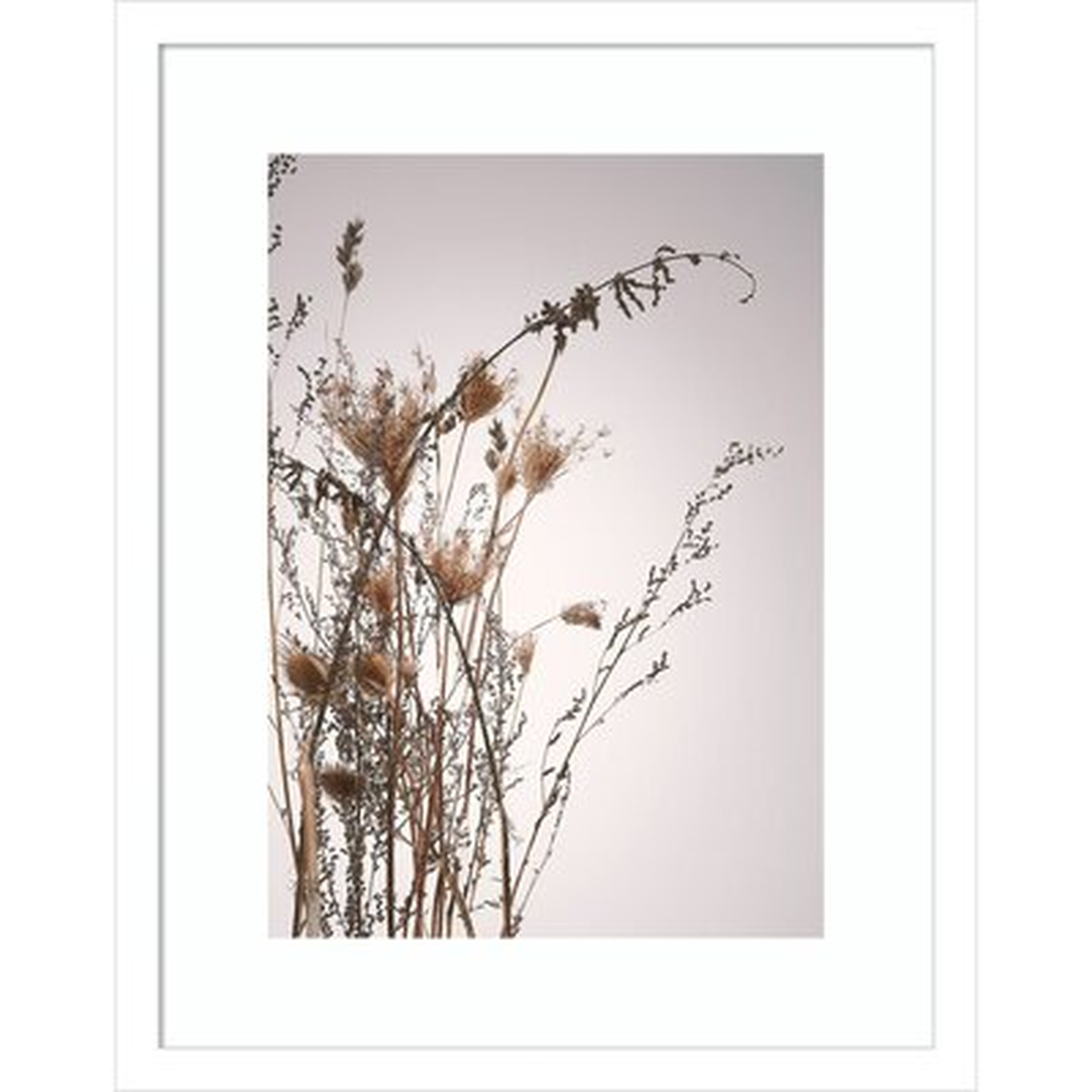 Everlasting Floral by Design Fabrikken - Picture Frame Photograph Print on Paper - AllModern