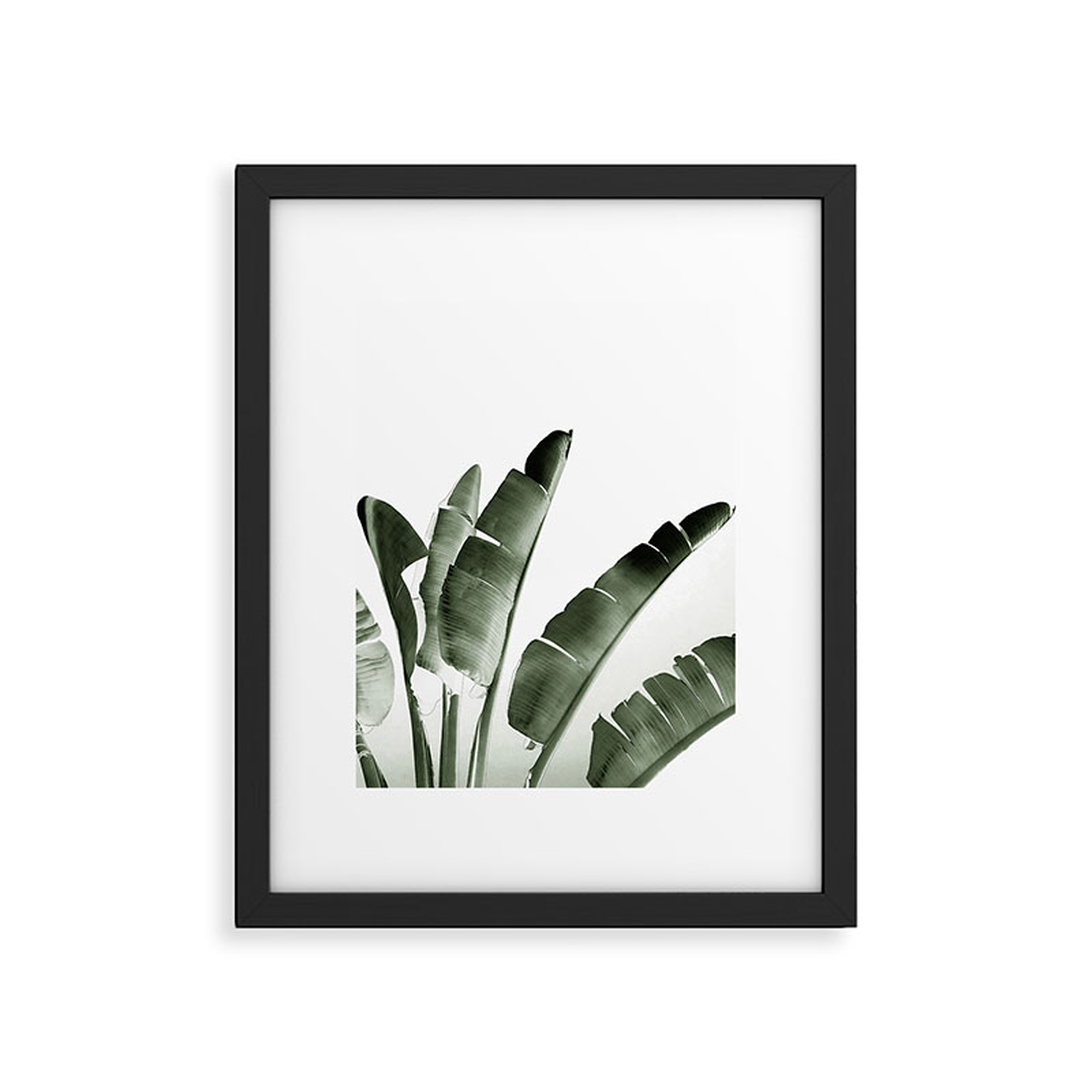 Traveler Palm by Gale Switzer - Framed Art Print Modern Black 8" x 10" - Wander Print Co.