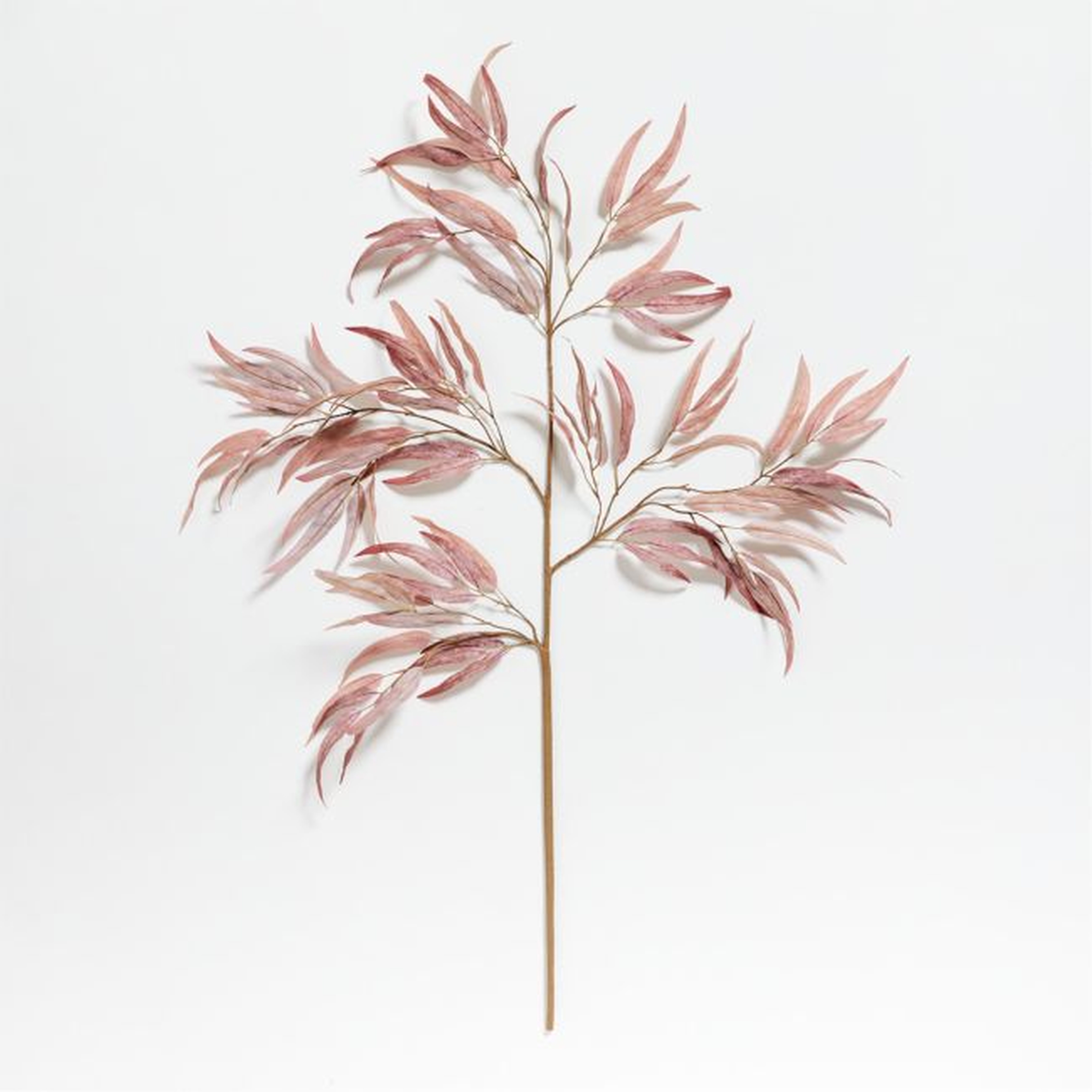 Large Faux Willow Eucalyptus Stem - Crate and Barrel