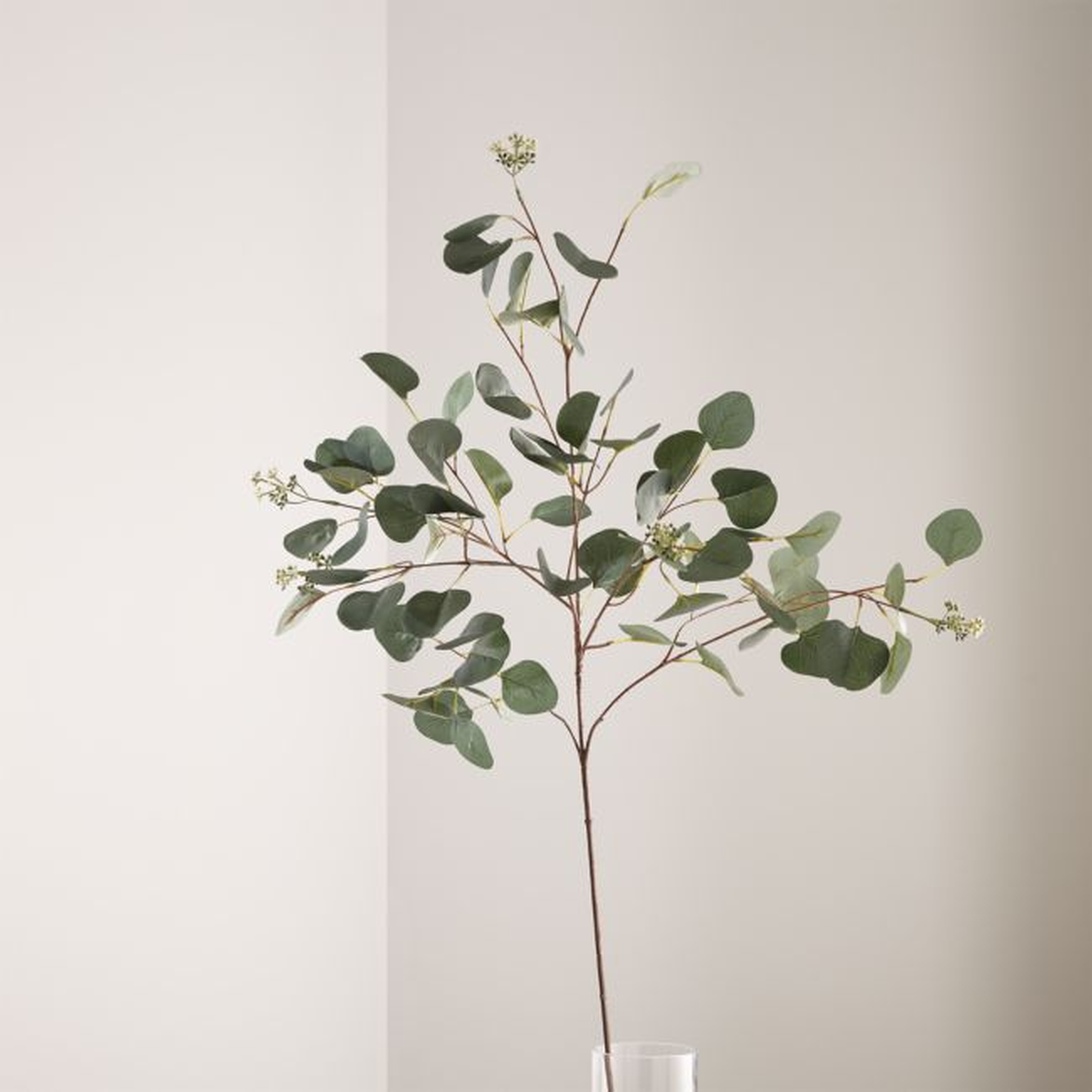 Small Faux Silver Dollar Eucalyptus Stem - Crate and Barrel