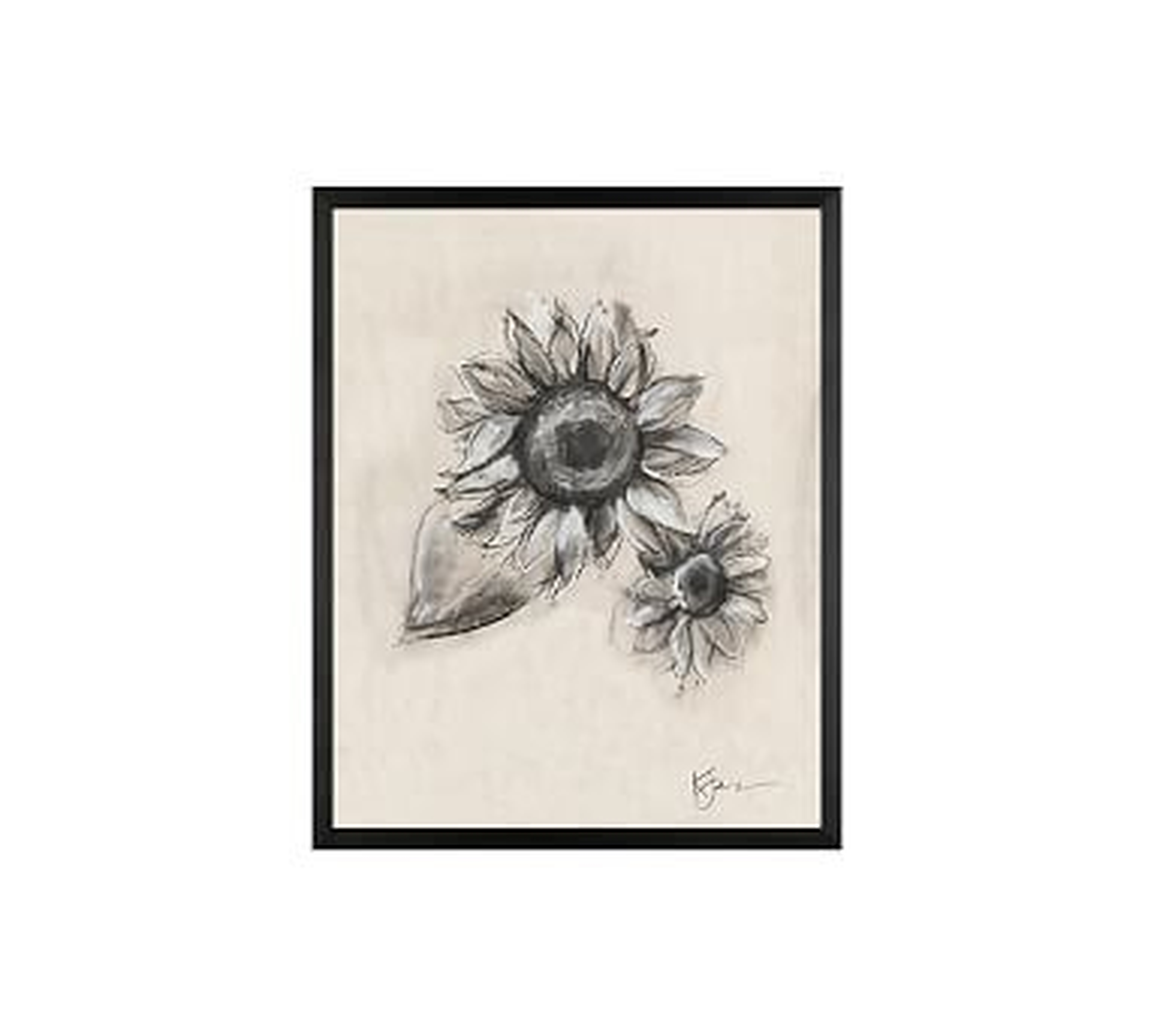 Charcoal Sunflower Sketch, Double Bloom, 16" x 20" Wood Gallery, Black, No Mat - Pottery Barn