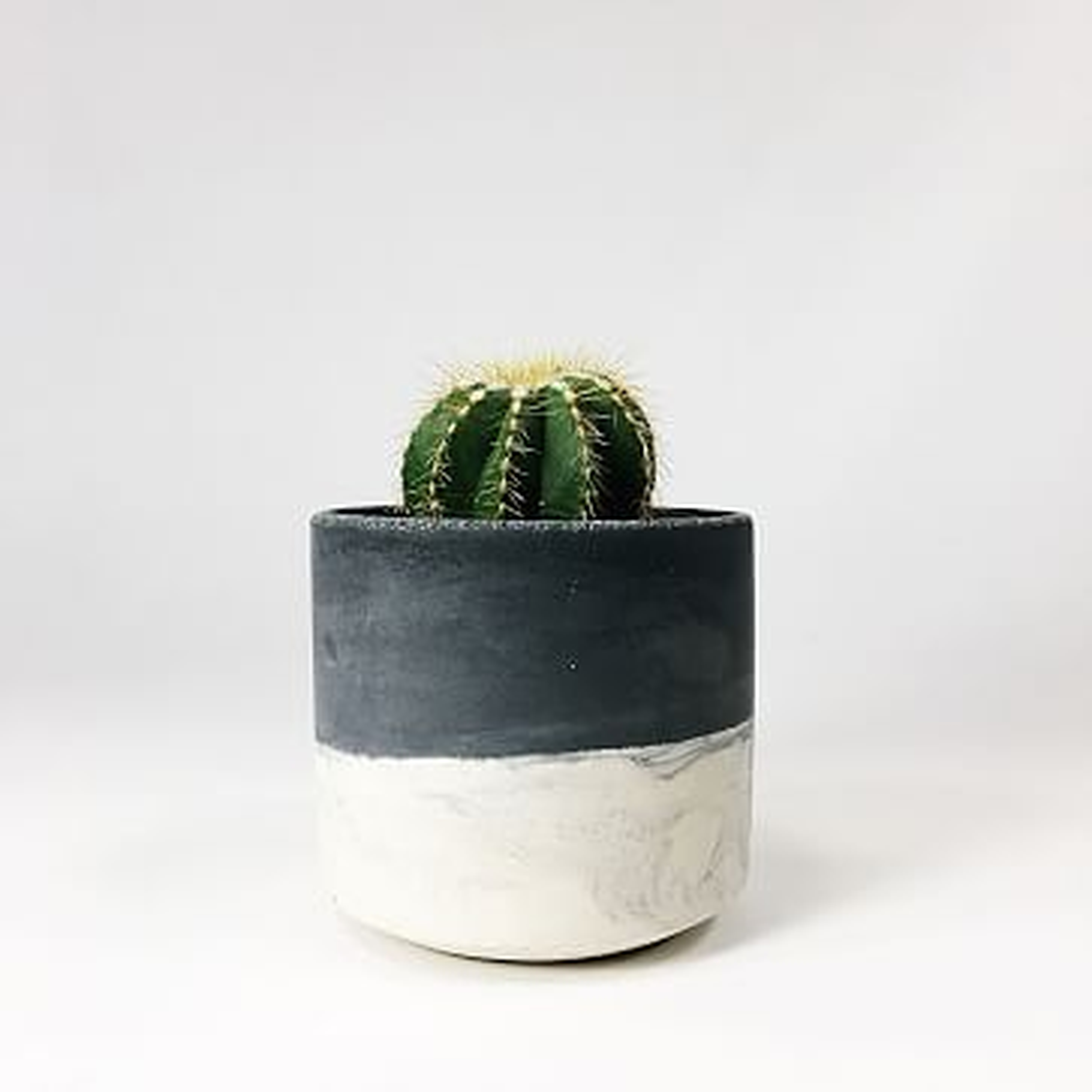 Straight-Sided Concrete Pot, Small, Dark Gray Two Tone - West Elm