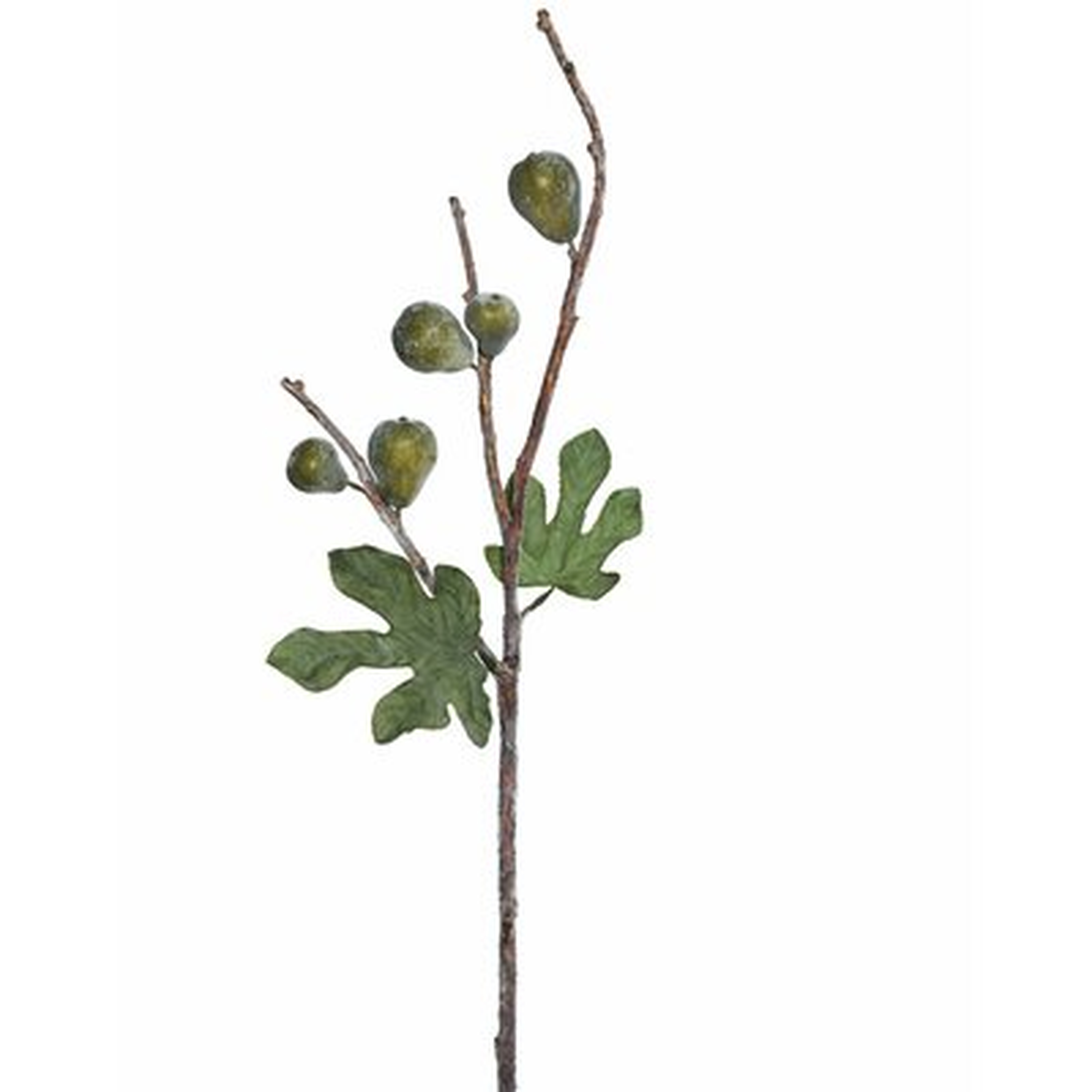 Fig Branch - Wayfair