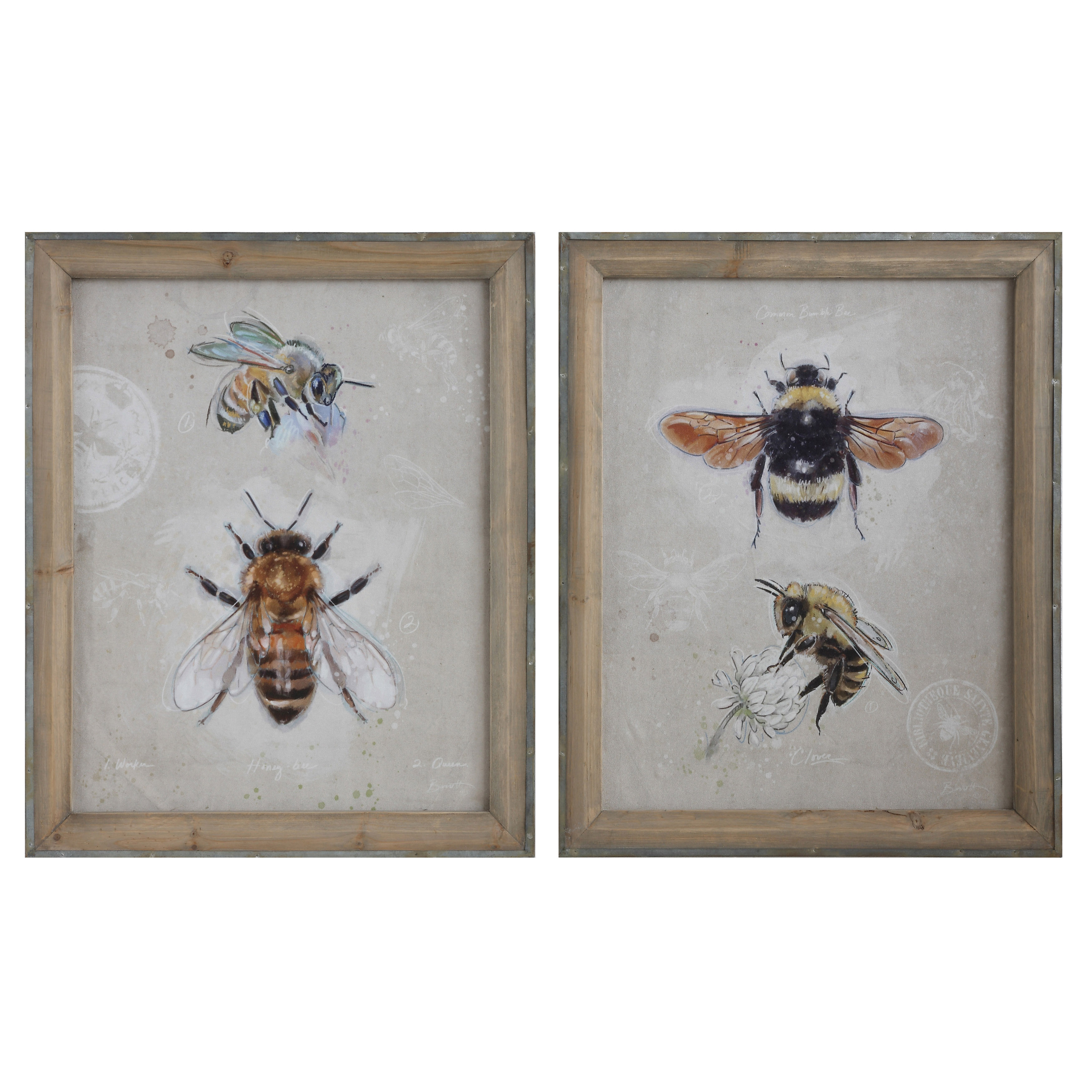 Wood Framed Canvas Wall Art with Bee Images (Set of 2 Designs) - Creative Co-Op