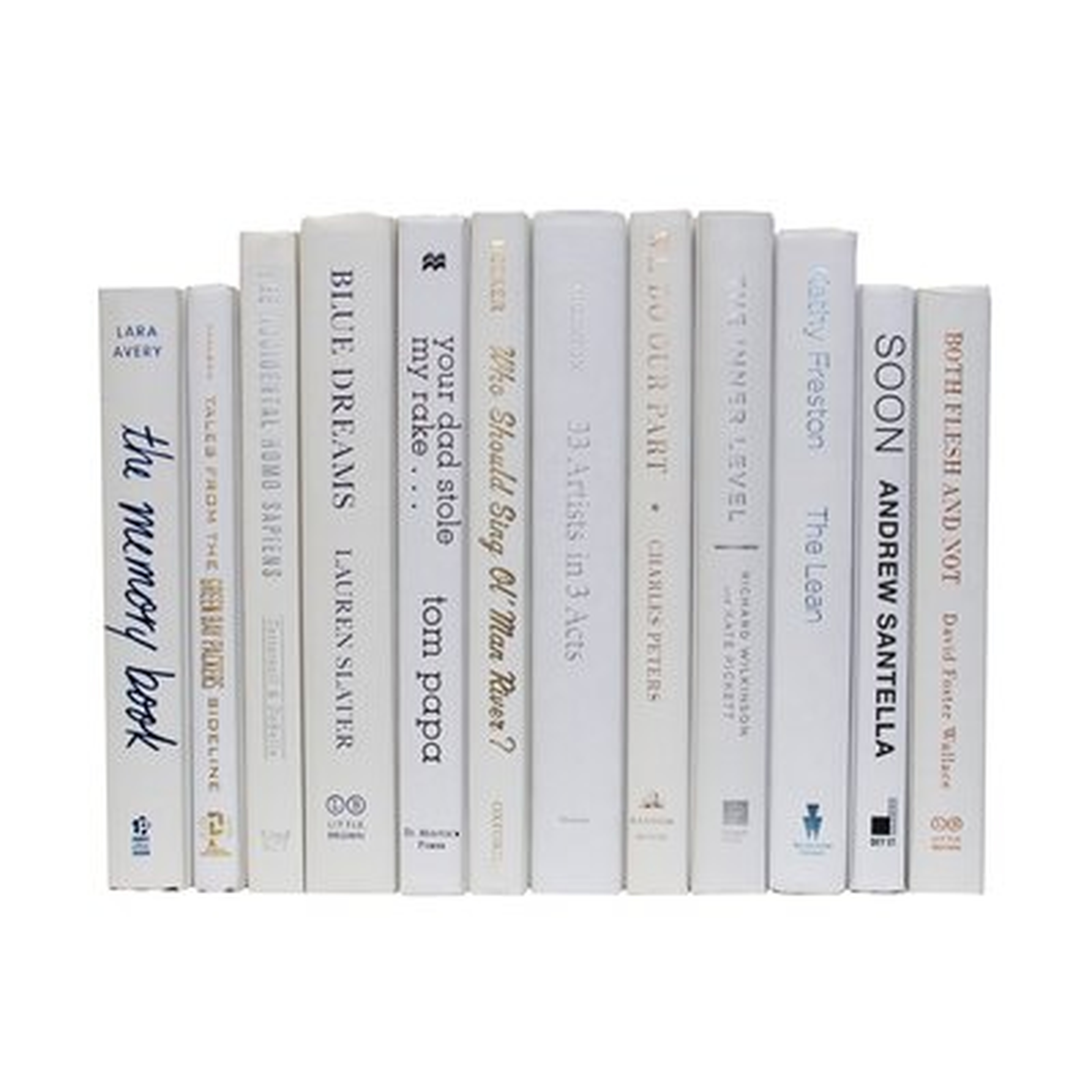 Serefina White Decorative Book Set - Birch Lane
