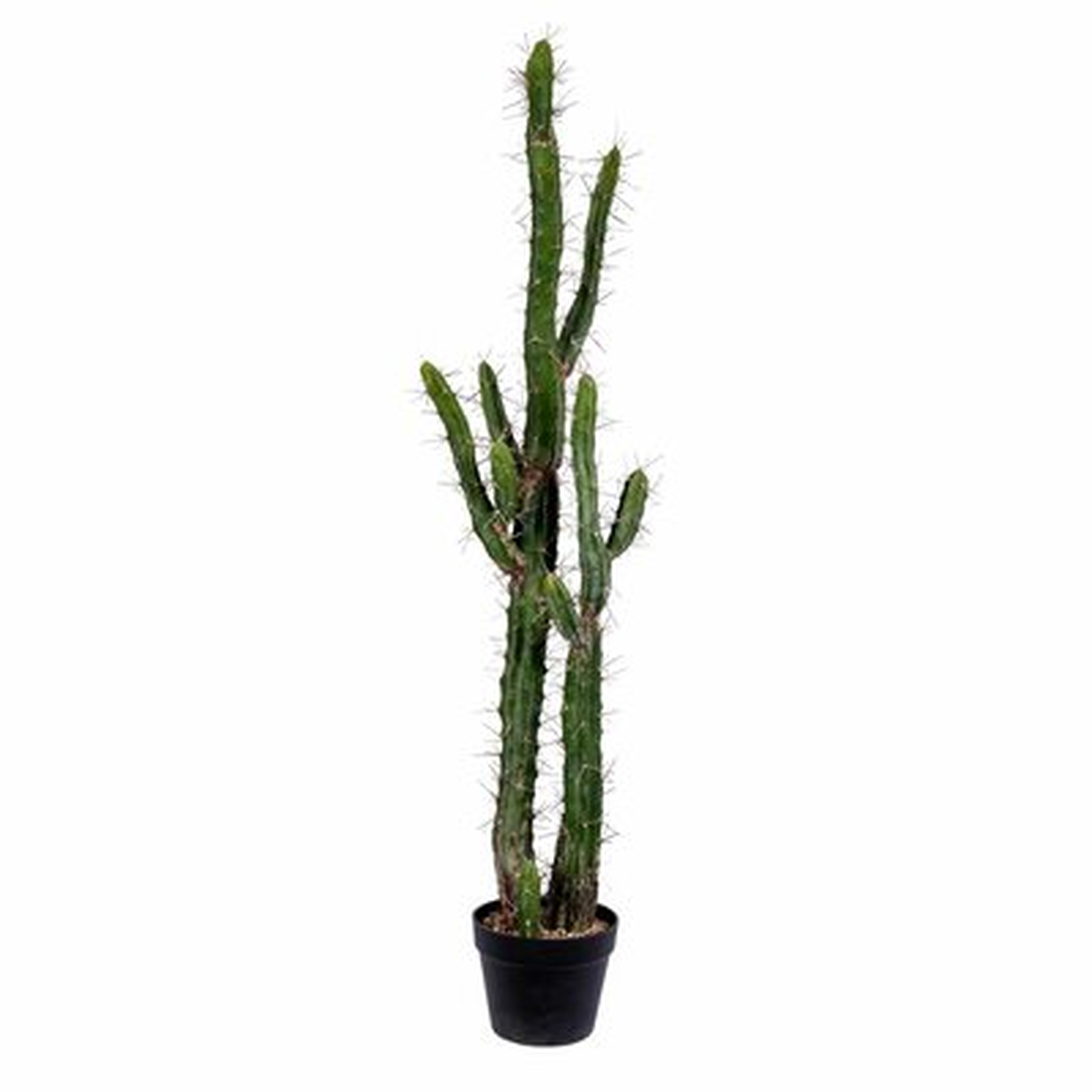Artificial Cactus Plant in Pot - Wayfair