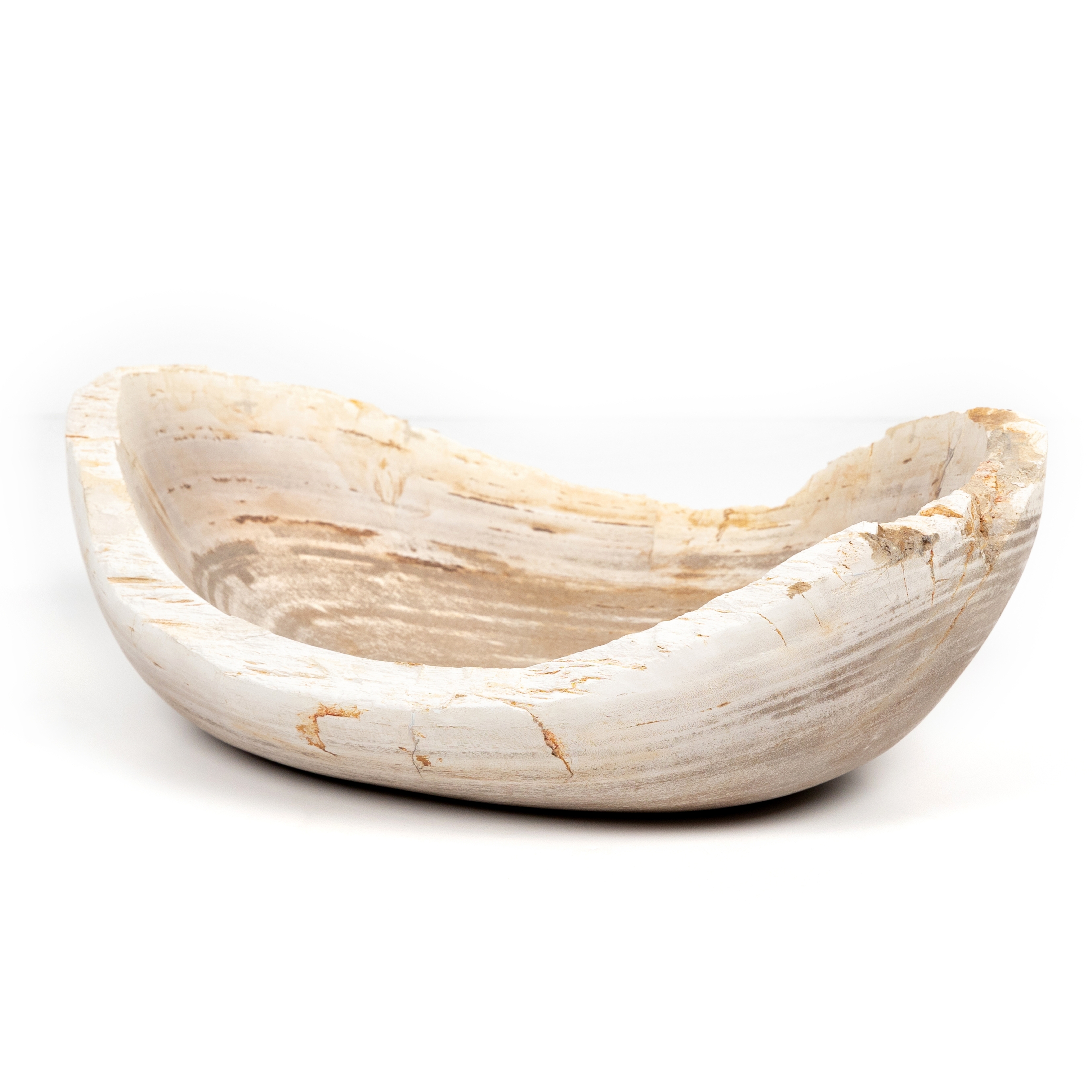 Oval Petrified Wood Bowl-Petrified Wood - Four Hands