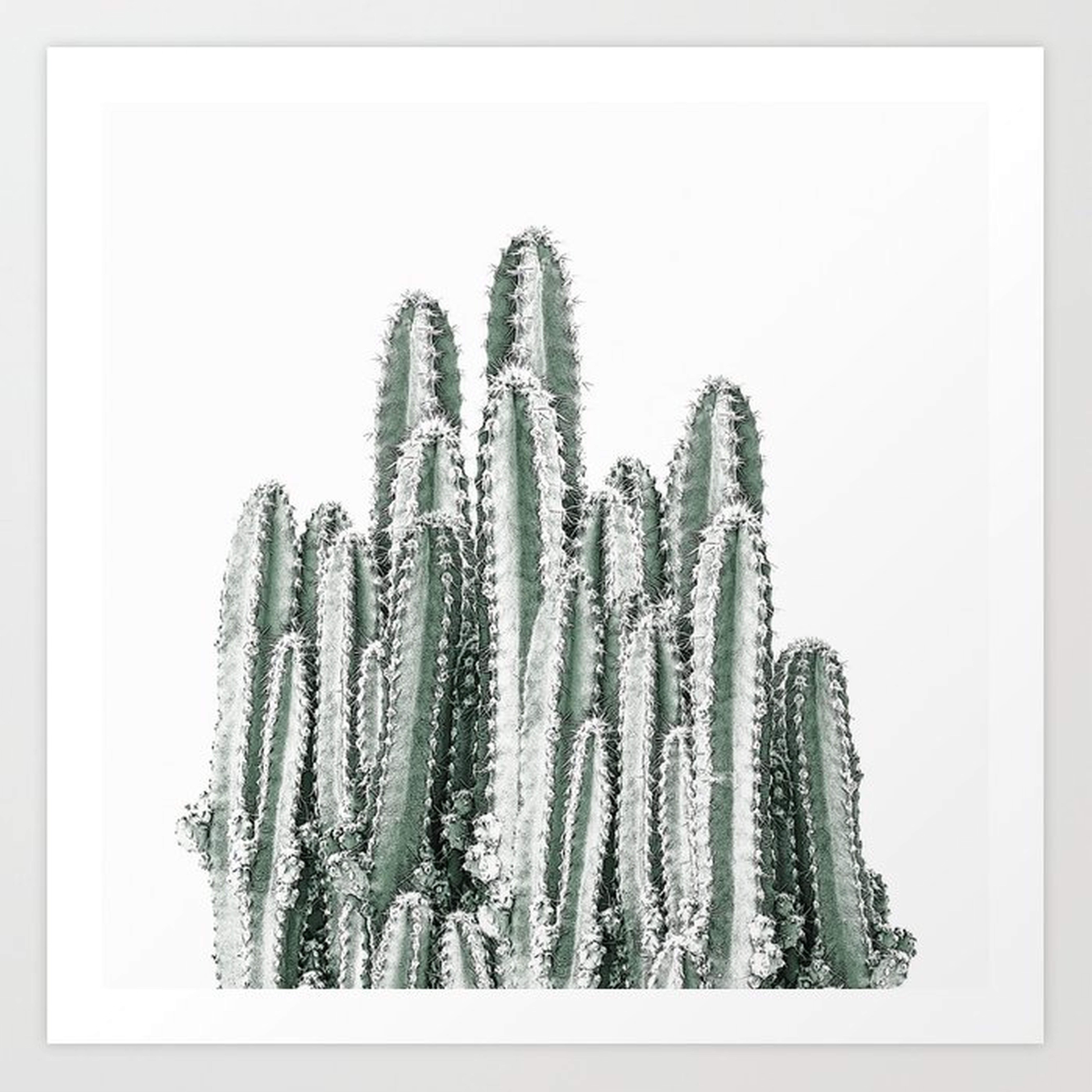 Desert Cacti Art Print by Christina Lynn Williams - Medium - Society6