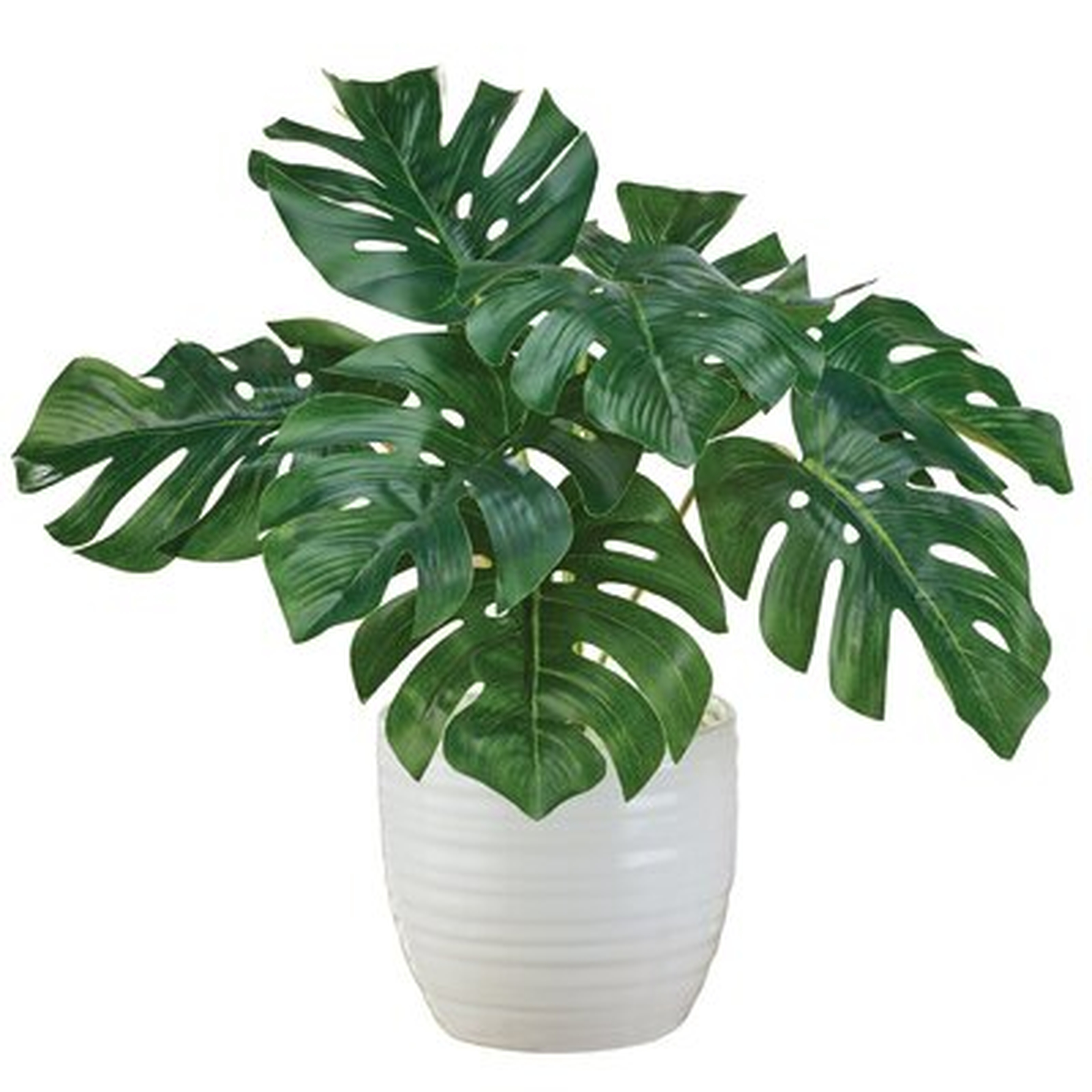 Faux Palm Plant - Wayfair