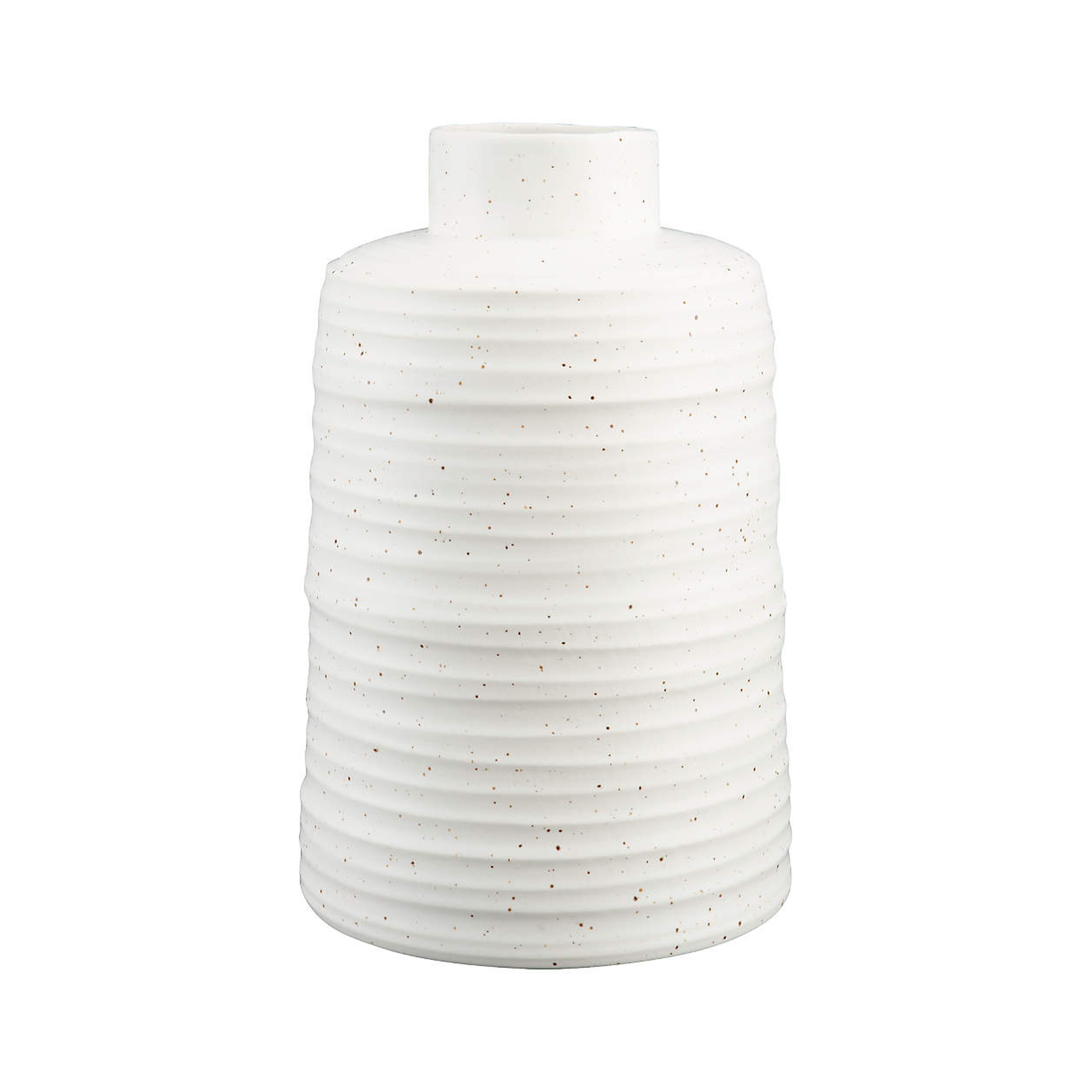 Holden Vase - Crate and Barrel