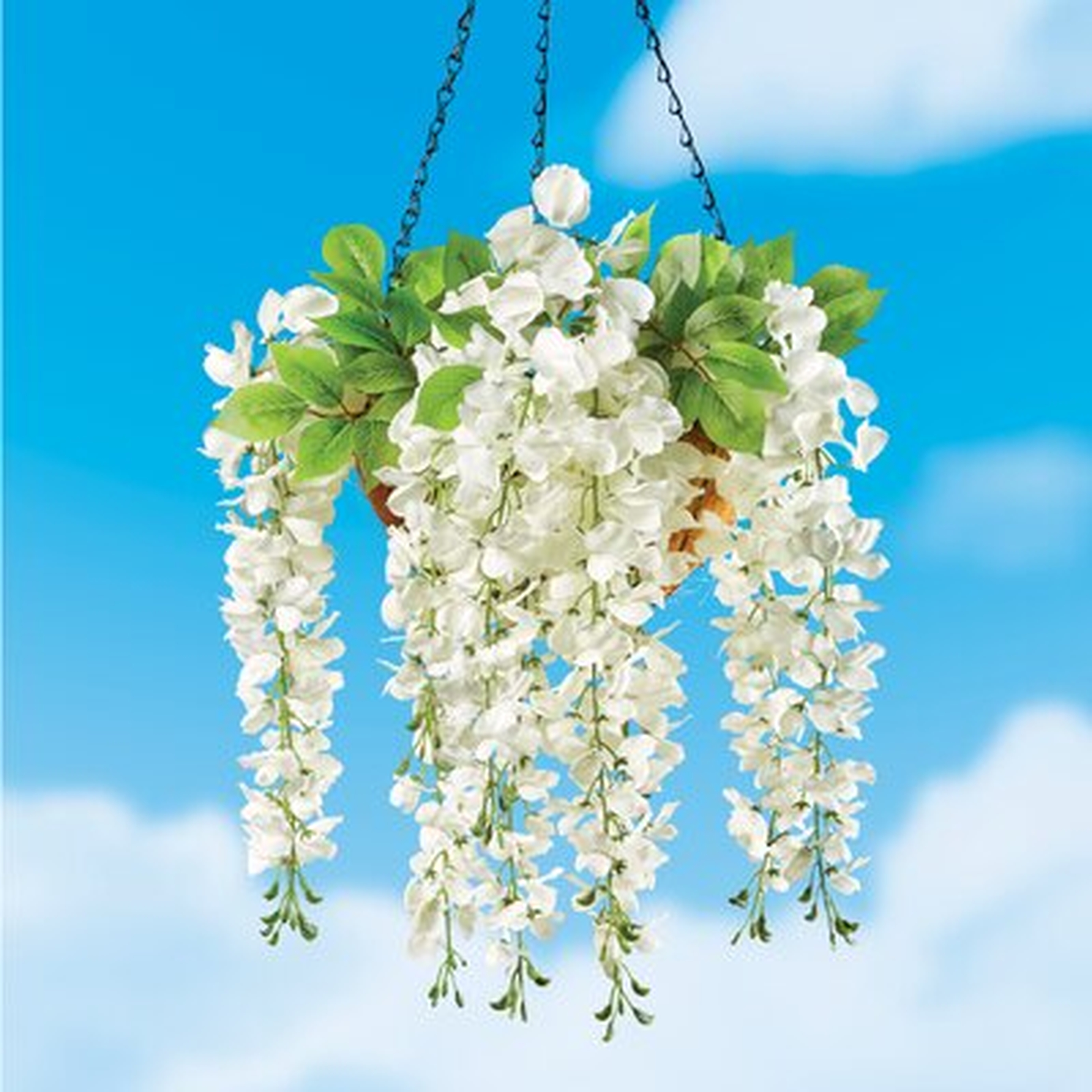 Cascading Wisteria Bushes - Wayfair